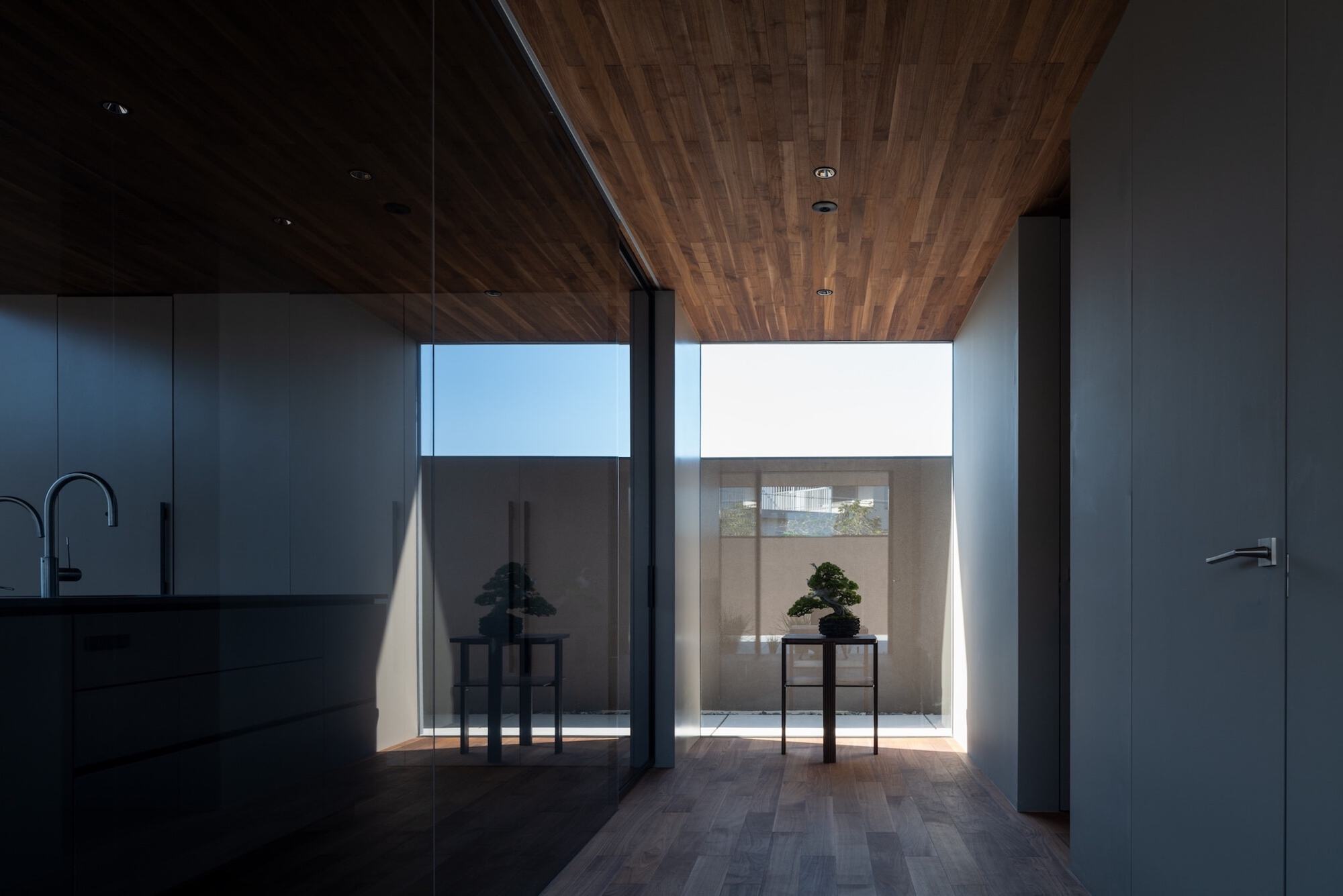 Corridor of timber ceiling and floor ending at a small courtyard with two bonsai on stands, lit by a shaft of sunlight