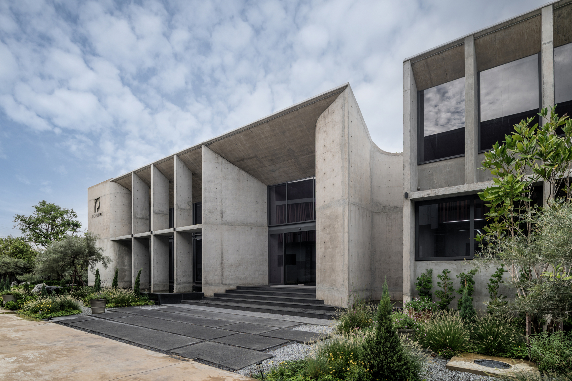 Entrance steps and slate paving leading to curved concrete walls and fins, with shrubs and an olive tree in the foreground