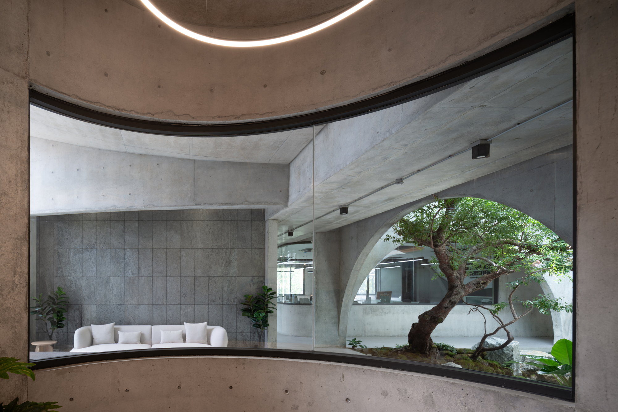 Curved glazing in a concrete wall framing a white sofa lounge and a gnarled courtyard tree beneath an arch