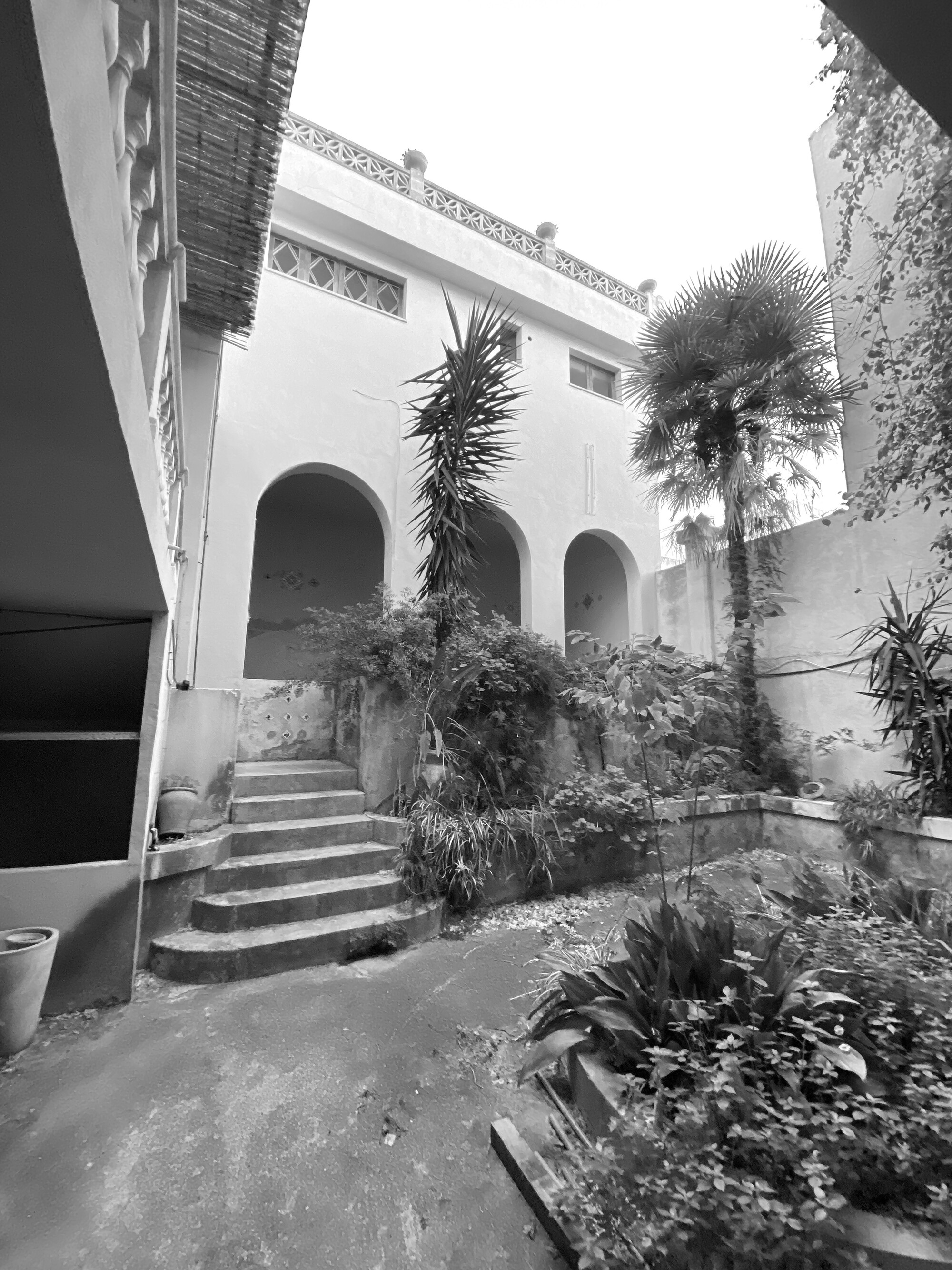 Black and white view of an overgrown courtyard with a stone stair, arched loggia and palm trees before renovation