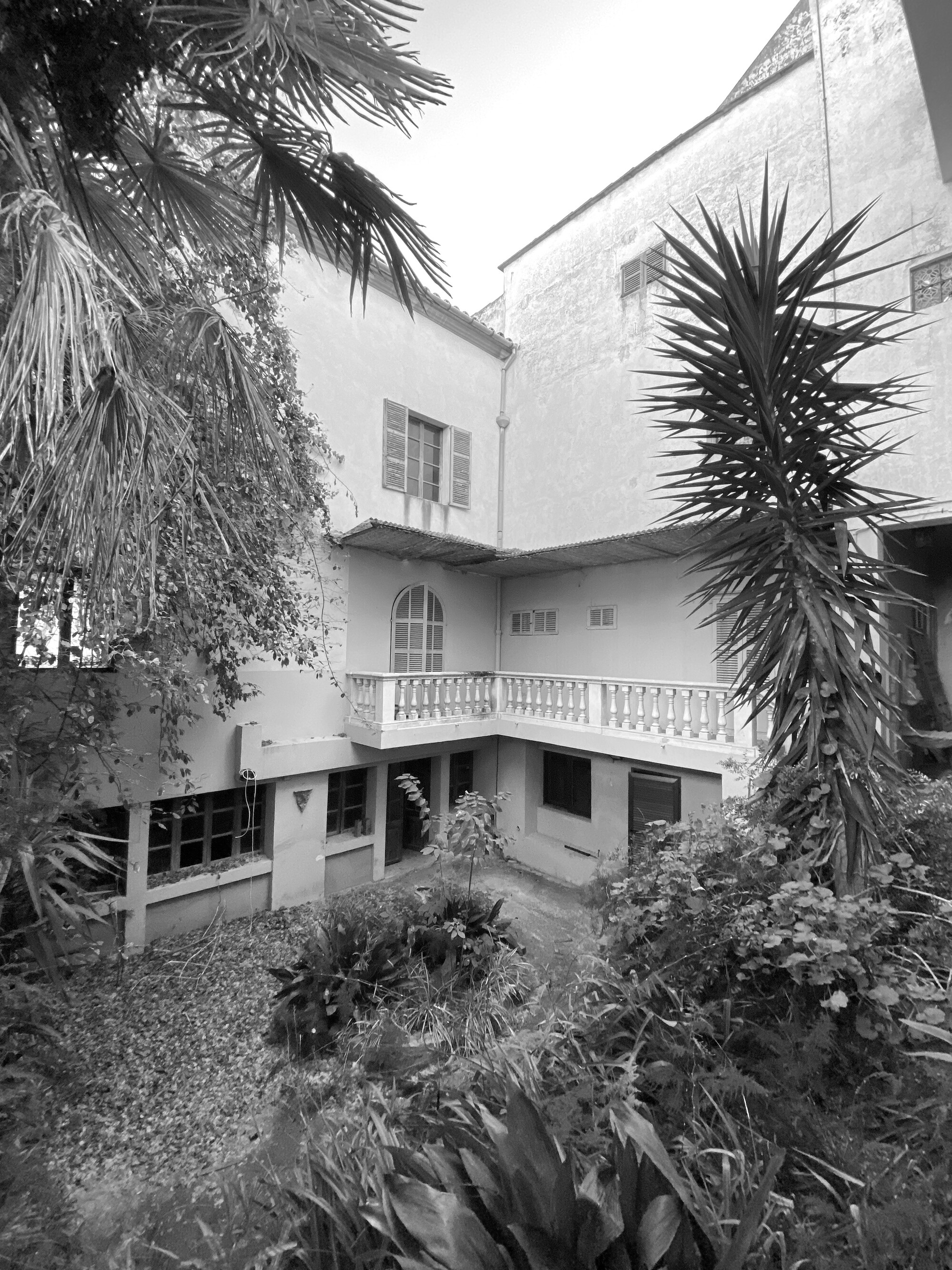 Black and white view of a courtyard house with a balustraded balcony, shuttered windows and dense palms and shrubs in the foreground