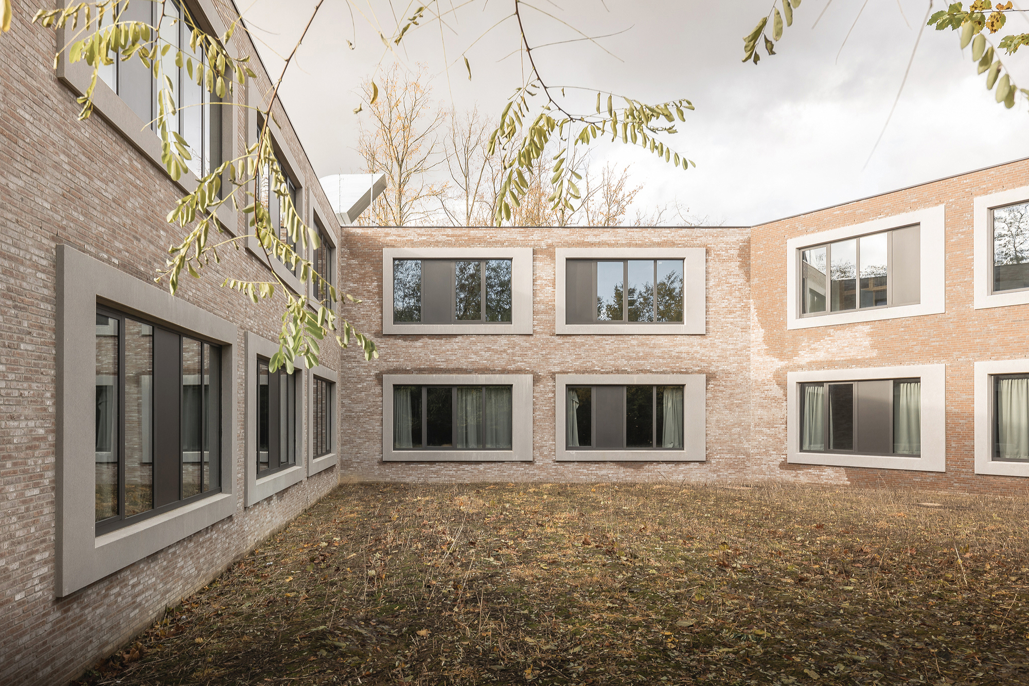 Brick courtyard walls with deep concrete window surrounds above a lawn of fallen leaves, with acacia branches hanging into frame