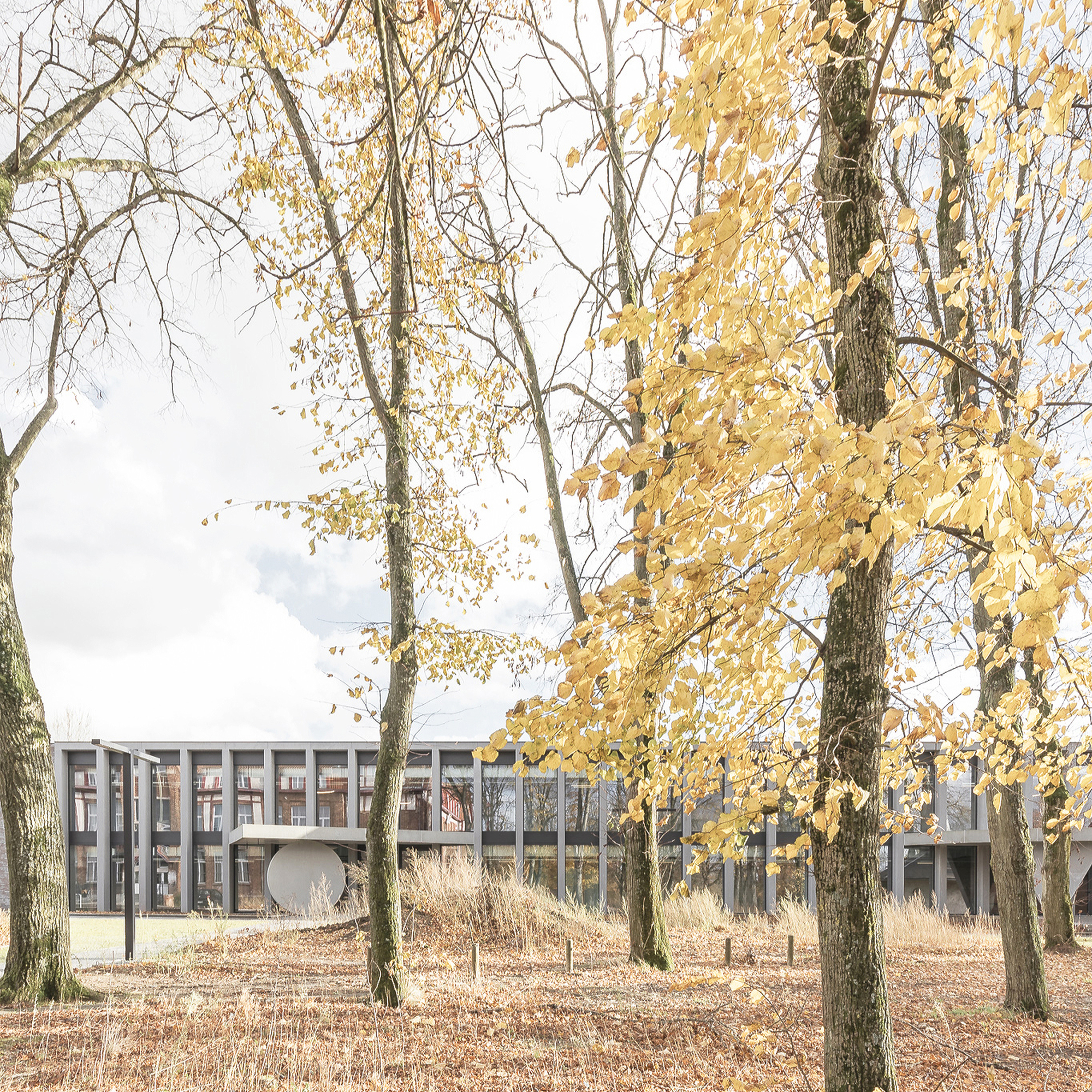 Long glazed pavilion with slim grey columns and a round disc panel, seen through golden autumn foliage and dry grasses