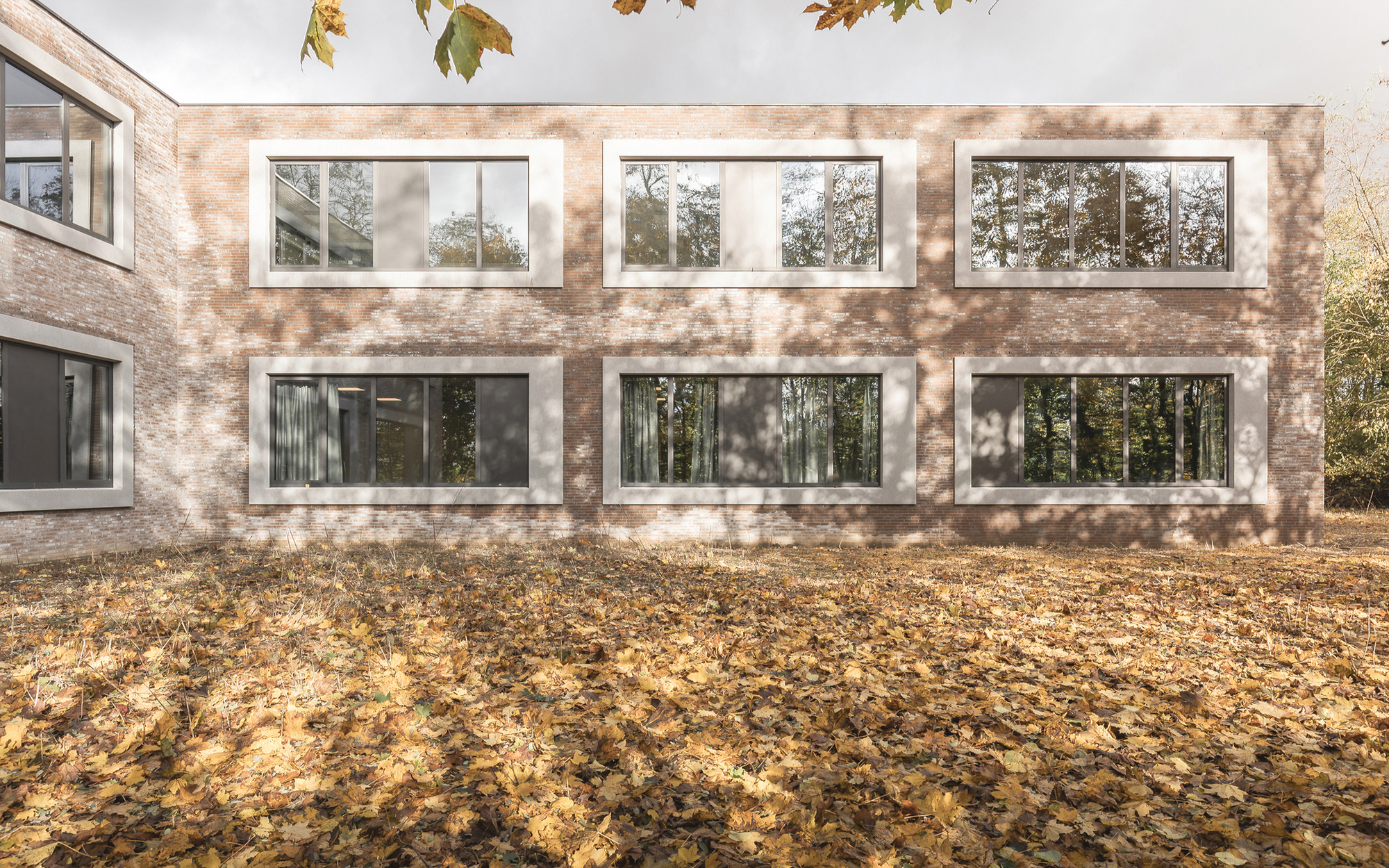 Brick facade with two rows of pale concrete-framed windows, dappled by tree shadows over a lawn of fallen autumn leaves
