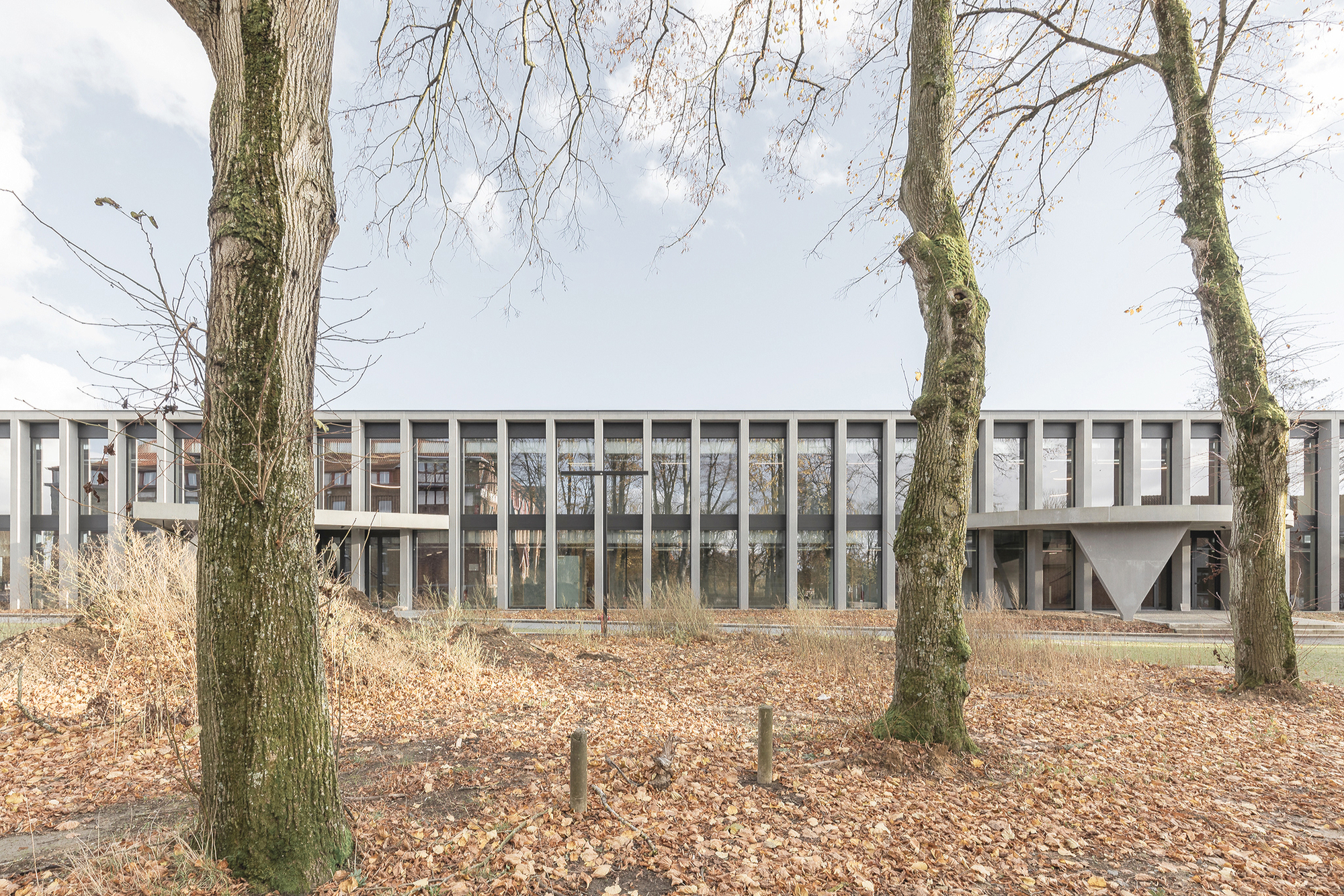 Long glazed pavilion with slim concrete columns and a triangular support, seen between moss-covered tree trunks and bare branches