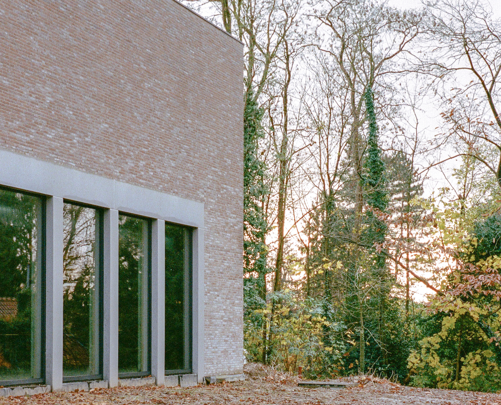 Corner of a pale brick volume with tall concrete-framed windows reflecting the ivy-covered trees of an autumn wood