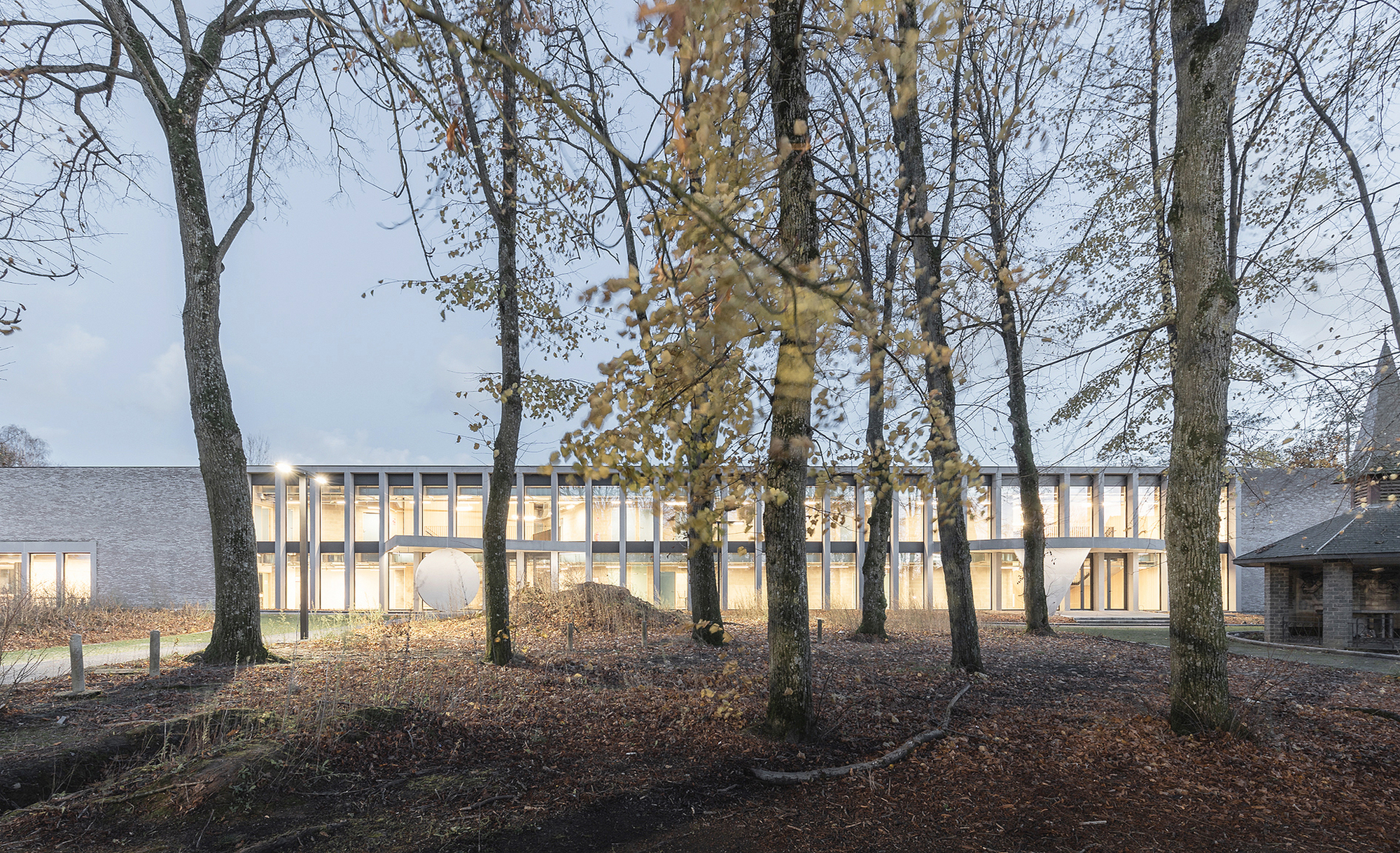 Long glazed facade seen between bare tree trunks and fallen leaves in blue evening light