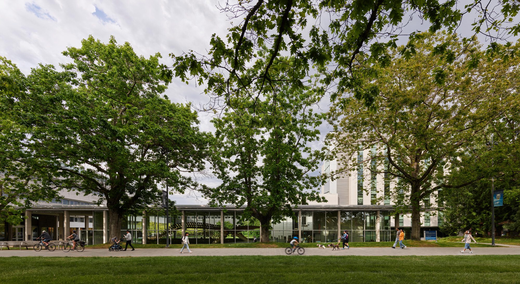 Low glazed pavilion with slim columns seen through mature oak trees, cyclists and pedestrians passing on the path under a cloudy sky