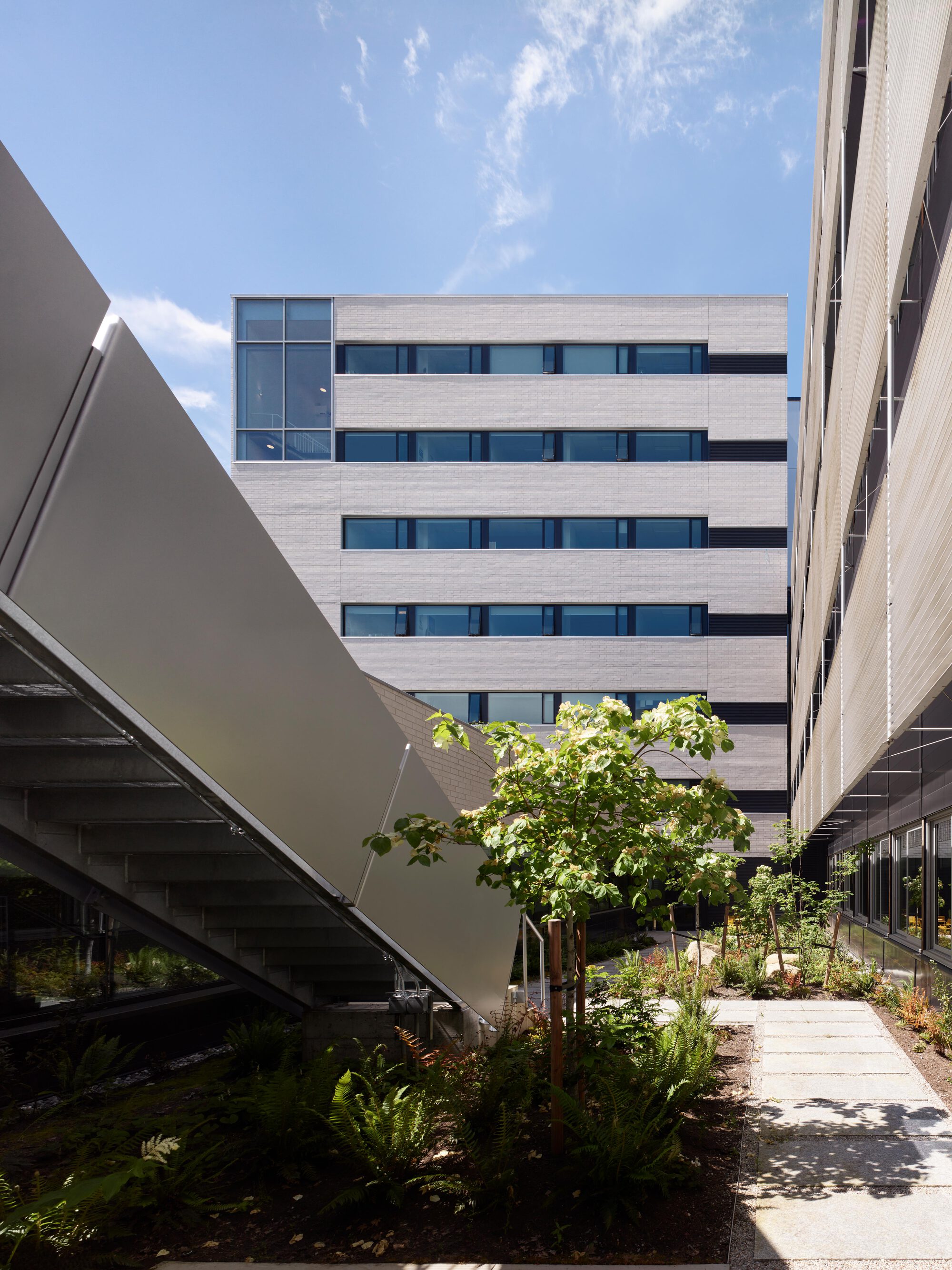 Courtyard view with a sloped metal canopy at left, a young tree and ferns, and a stone-paved path beside the perforated facade