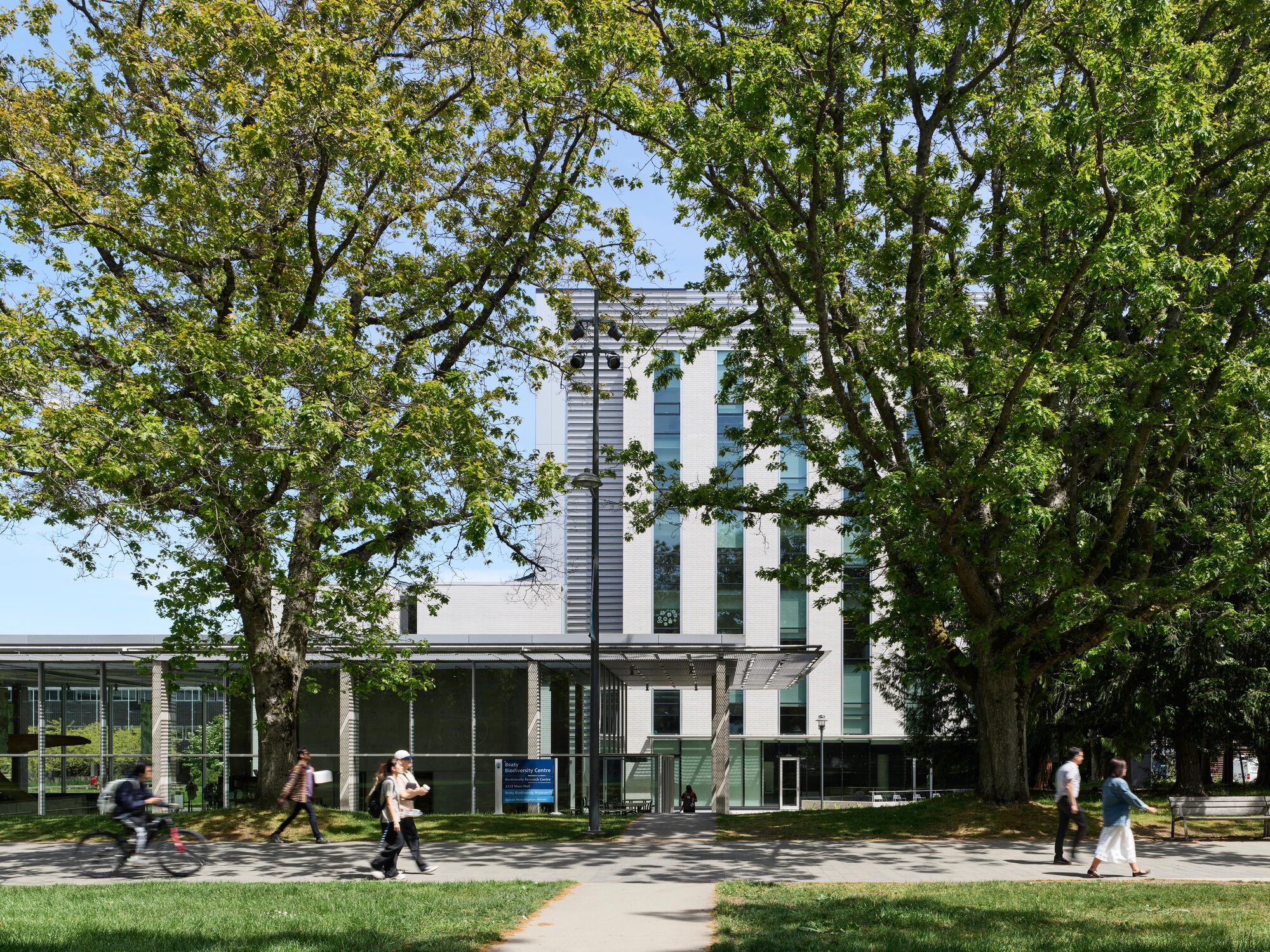 Entrance path framed by two large trees, with a glazed base, slim canopy and tall window slots above, walkers and a cyclist crossing