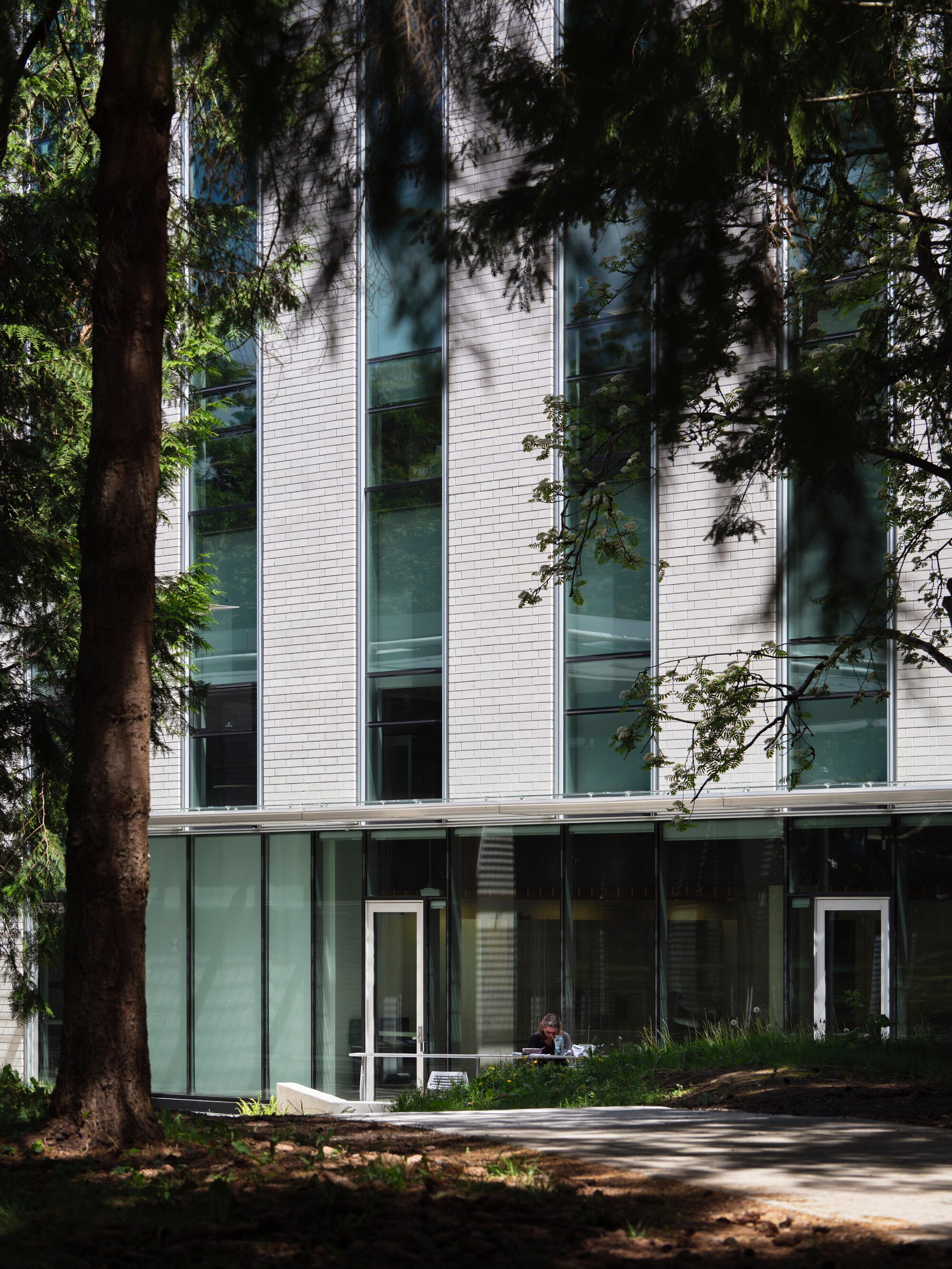 Ground-floor glazing and entry door beneath tall window strips, with a person seated at a table in the shade of tree trunks