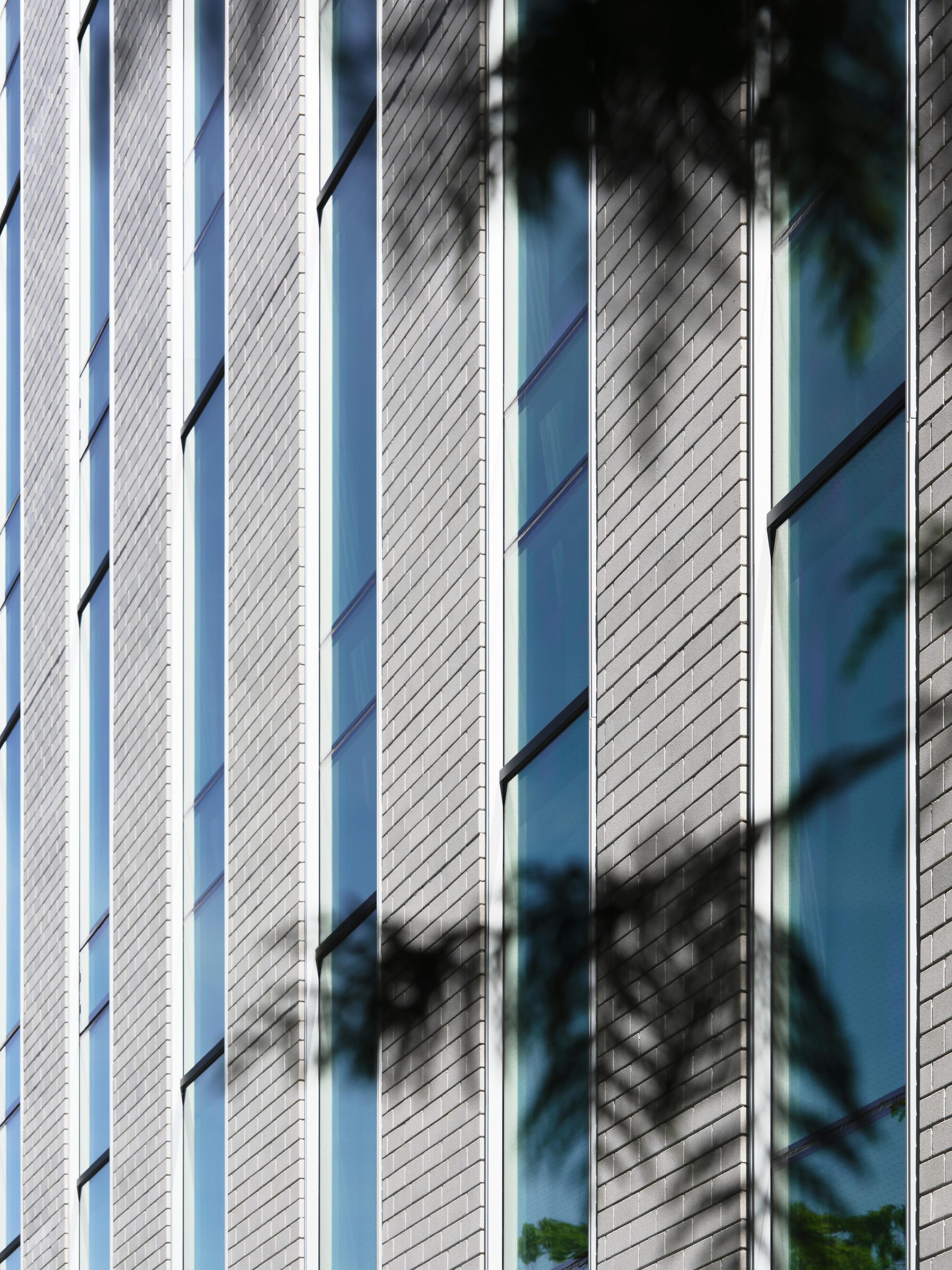 Close-up of grey brick piers between tall glazed strips, with tree branch shadows falling across the facade in bright sun