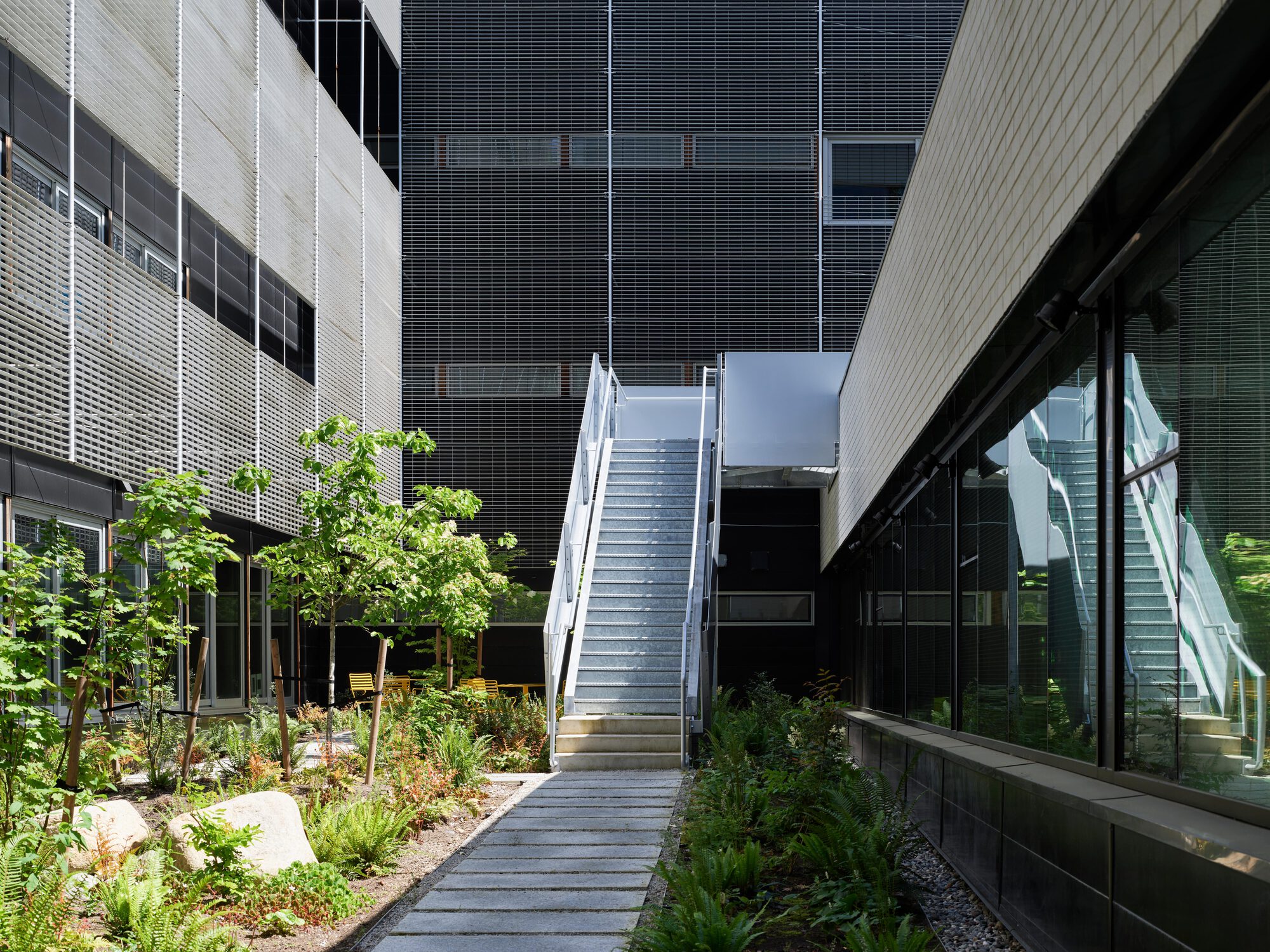 Steel stair rising through a courtyard planted with ferns, boulders and young trees between mesh-clad and brick facades