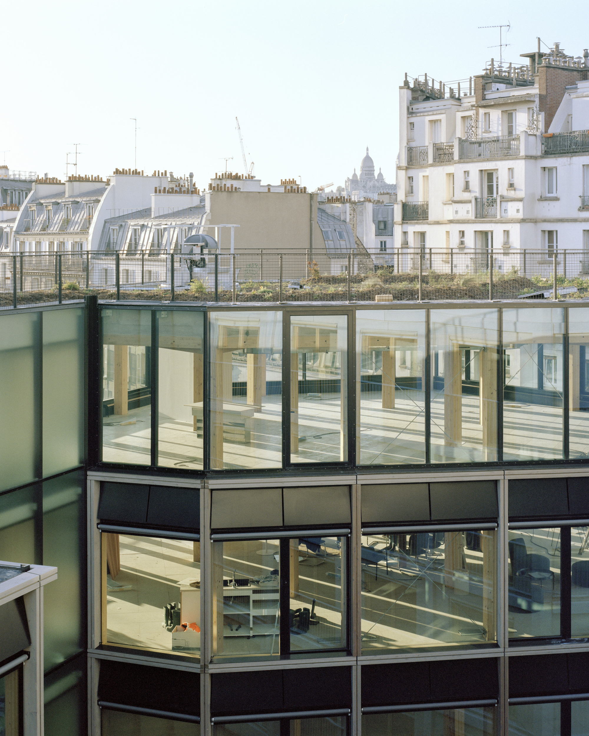 Glazed upper floor of an office block showing timber posts inside, seen from across a rooftop garden in low sun