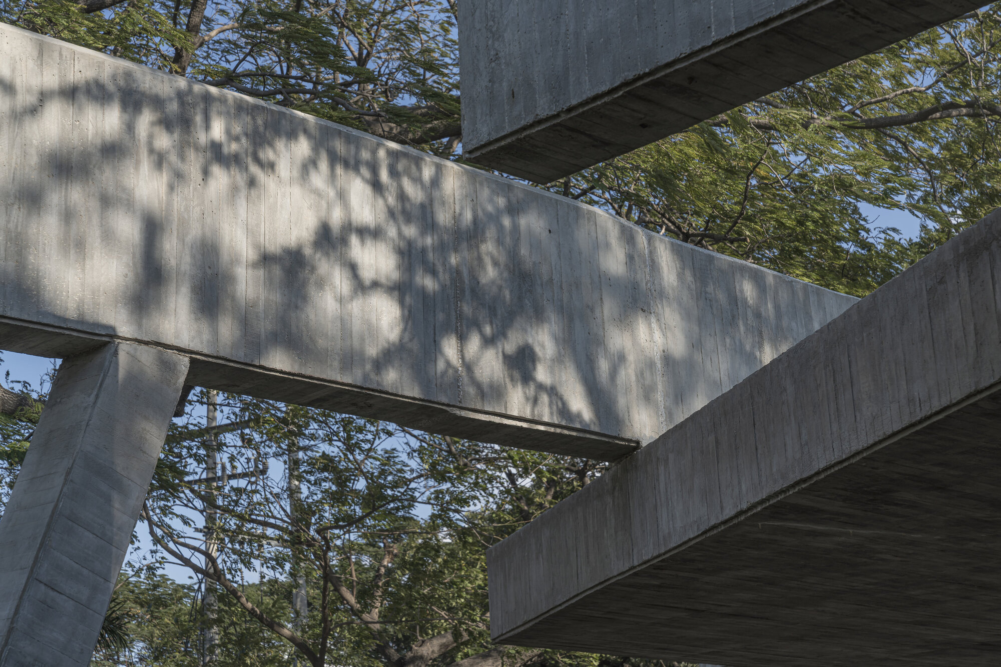 Board-formed concrete beams and an angled support overlapping against a canopy of trees, with leaf shadows falling across the surface