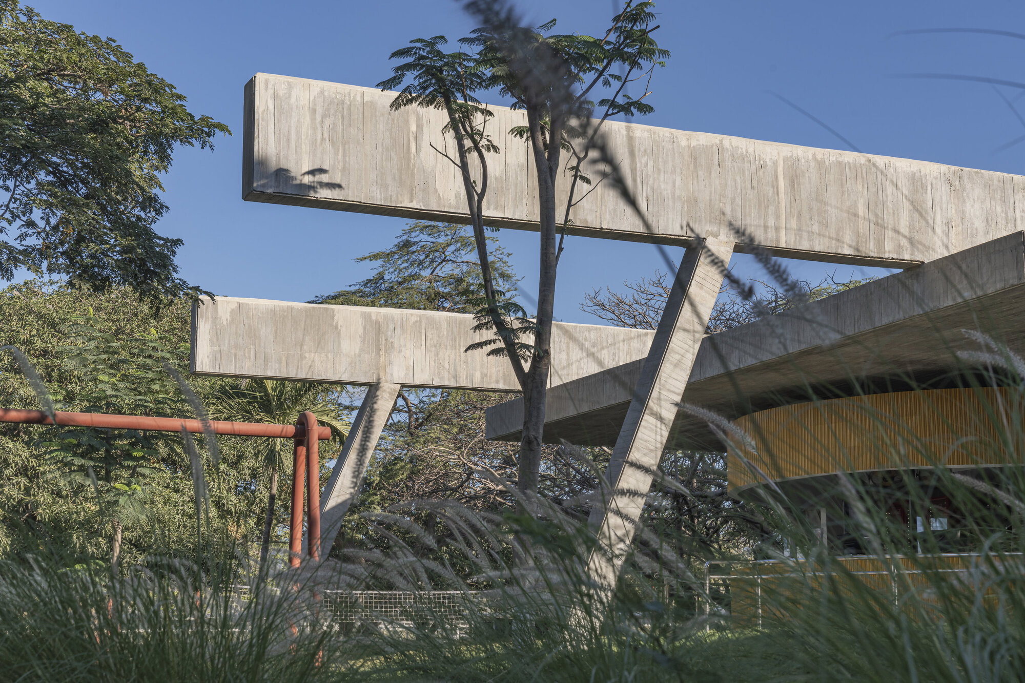 Board-formed concrete beams on slanted struts cantilever above tall grasses, a red steel pipe frame and a slim tree under clear blue sky