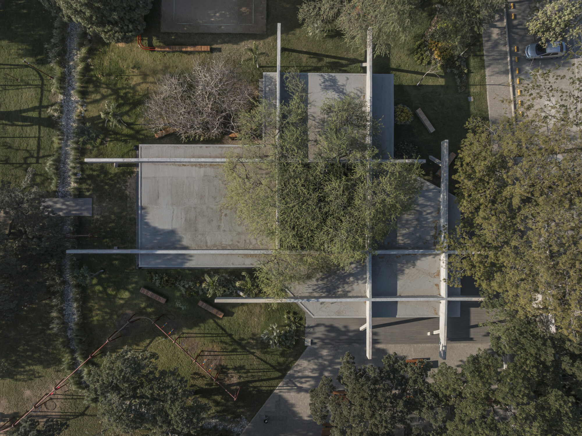 Top-down view of the flat concrete roof slabs crossed by thin beams, with a tree canopy poking through in afternoon shade