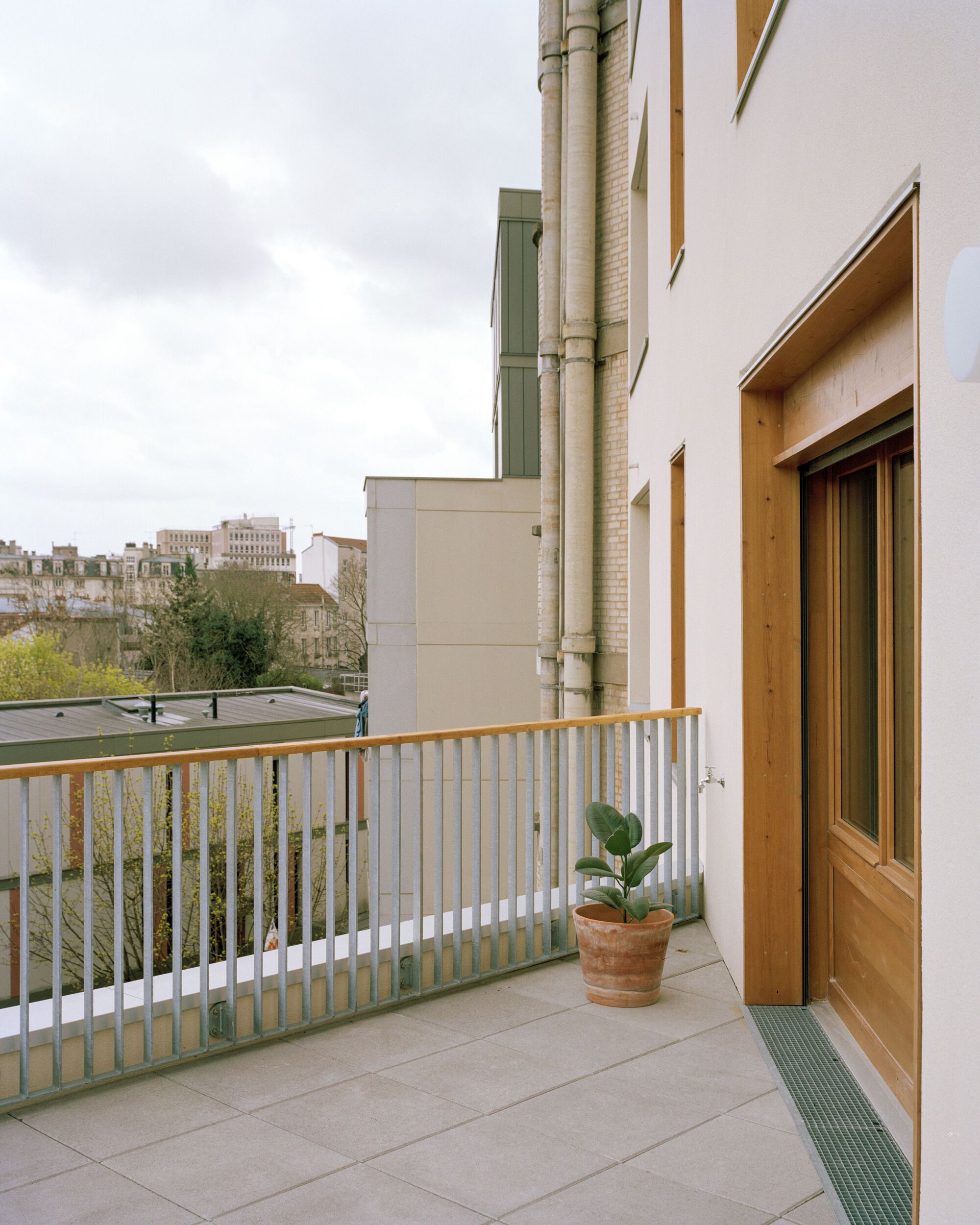 Terrace with a potted rubber plant, slatted metal railing and a timber door, looking over rooftops under a grey sky