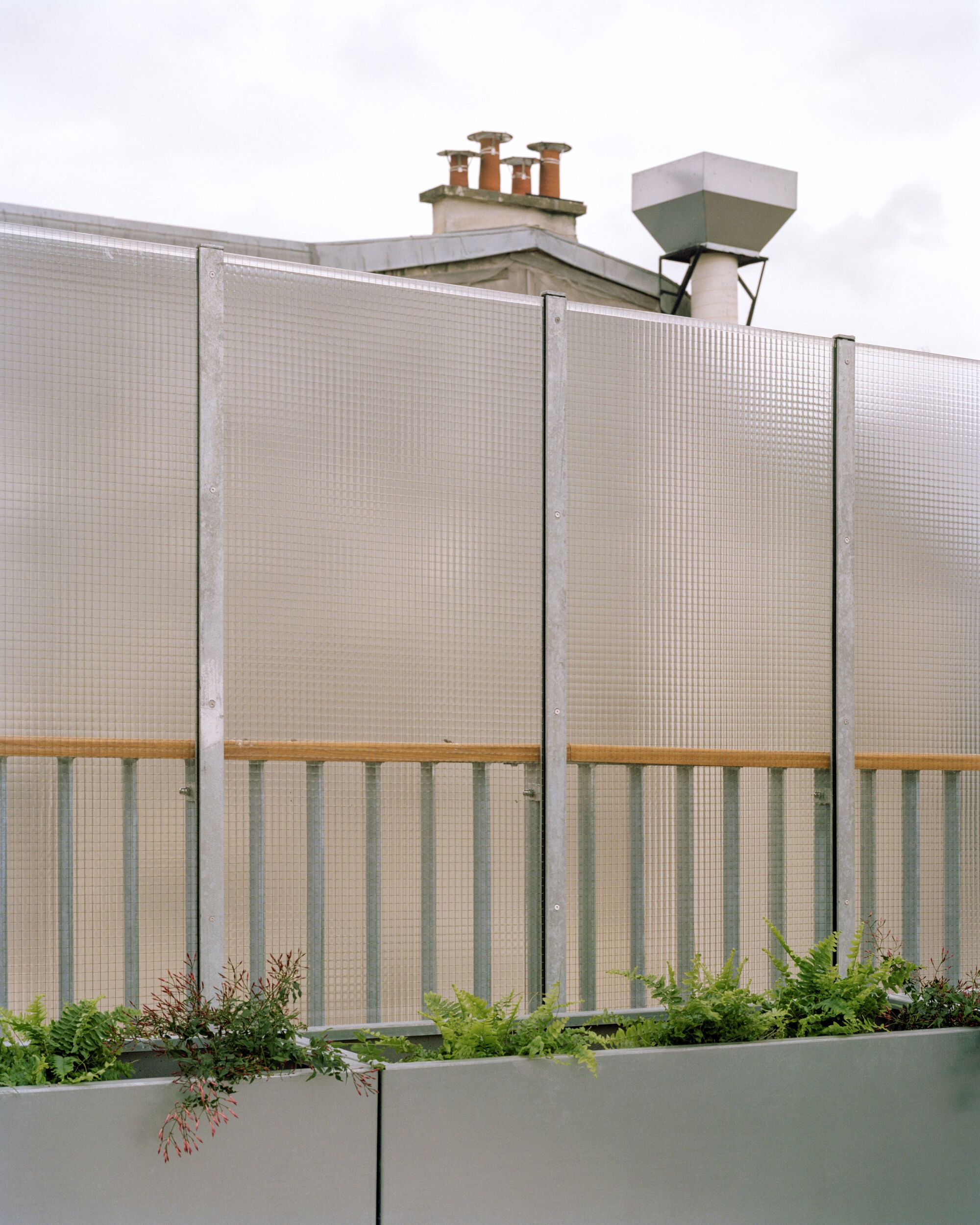 Rooftop terrace screen of translucent ribbed glass panels above a zinc planter with ferns, with chimney pots behind under a pale sky