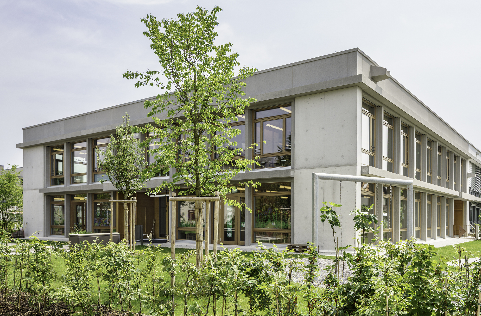 Corner of a two-storey concrete frame building with timber windows, seen past young trees and planting in leafy summer light
