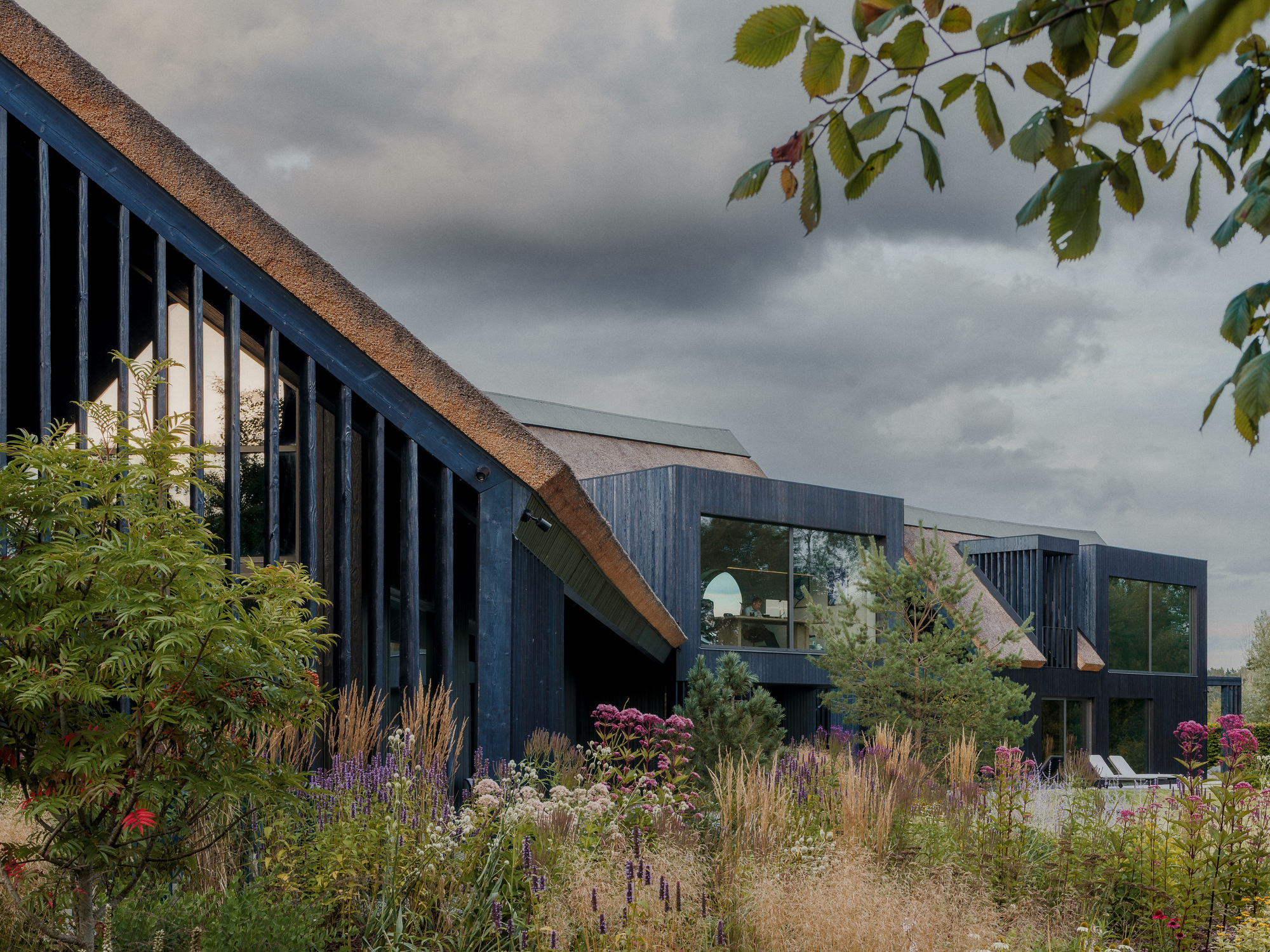 Charred timber and thatched wings seen through a meadow planting of grasses and purple flowers under a grey sky