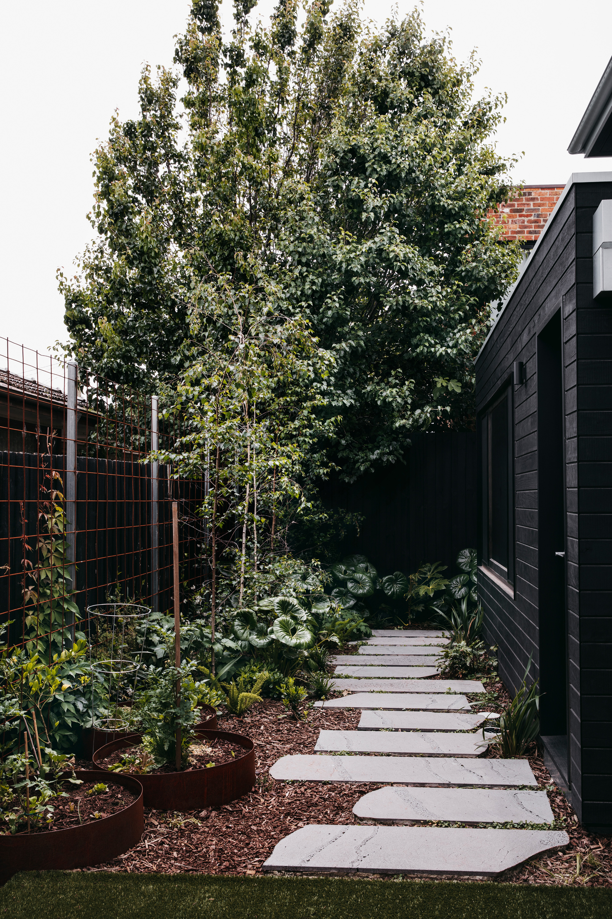 Side garden with corten steel planters, a stepping stone path and a tall tree beside a black timber clad wall