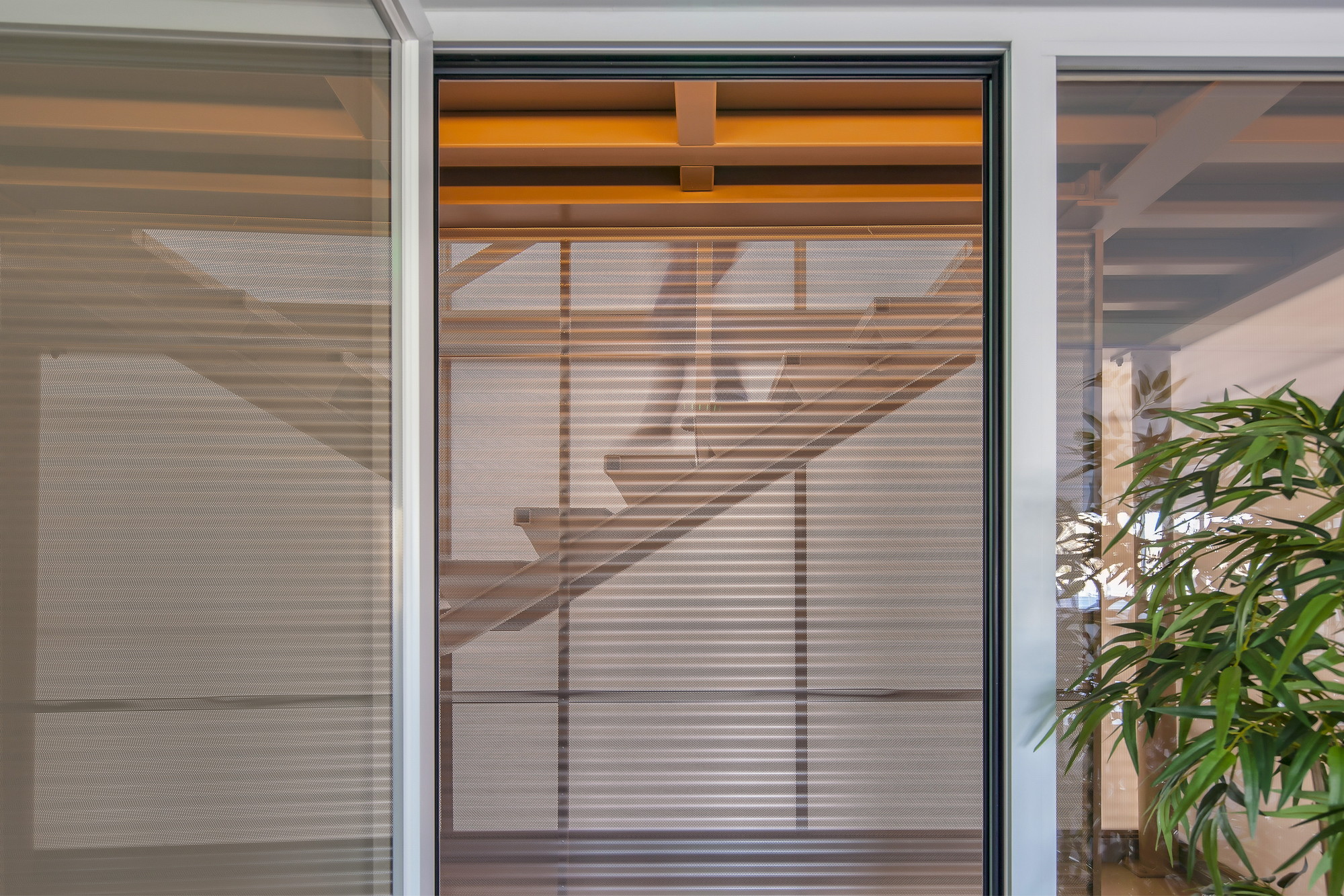 Close-up of a glazed door with horizontal blinds, reflecting a timber staircase, with a potted palm at the right edge