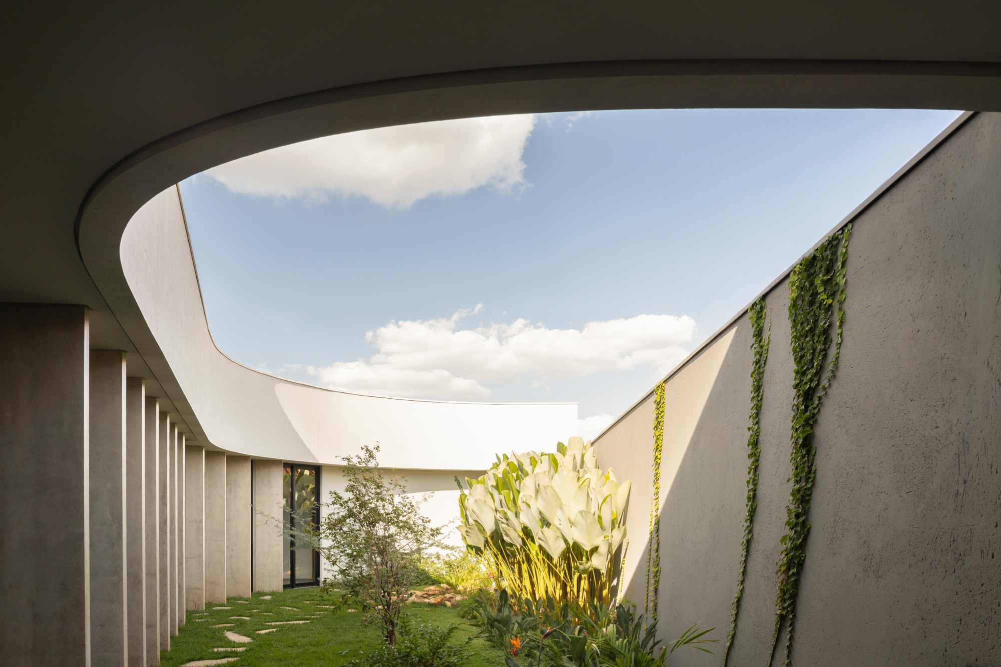 Oval roof opening framing a courtyard with a leafy shrub, climbing vines on a textured wall and clouds overhead