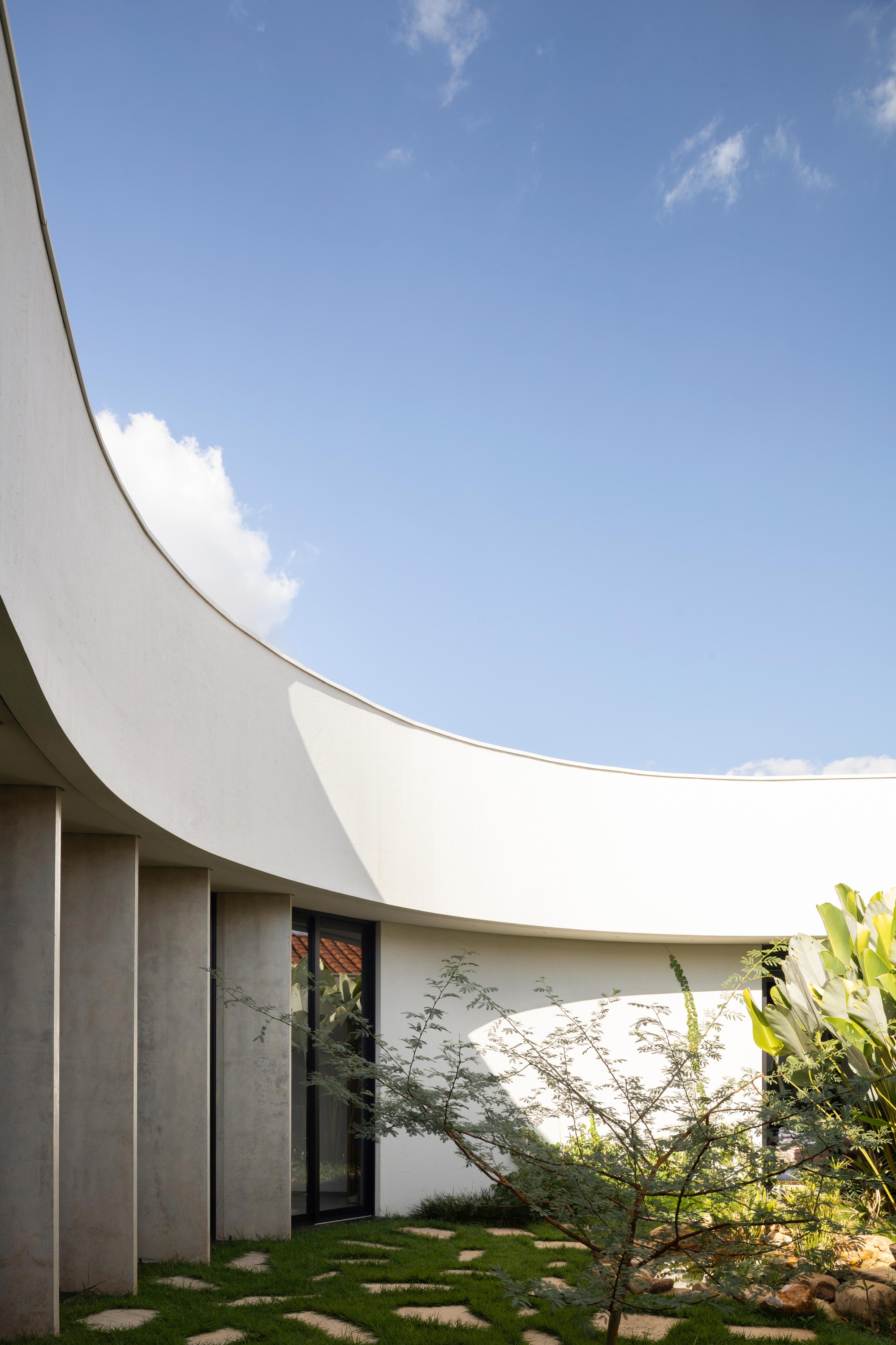 Sweeping white curved roof edge above concrete fins and a glazed door, with a thin tree over the stepping-stone lawn