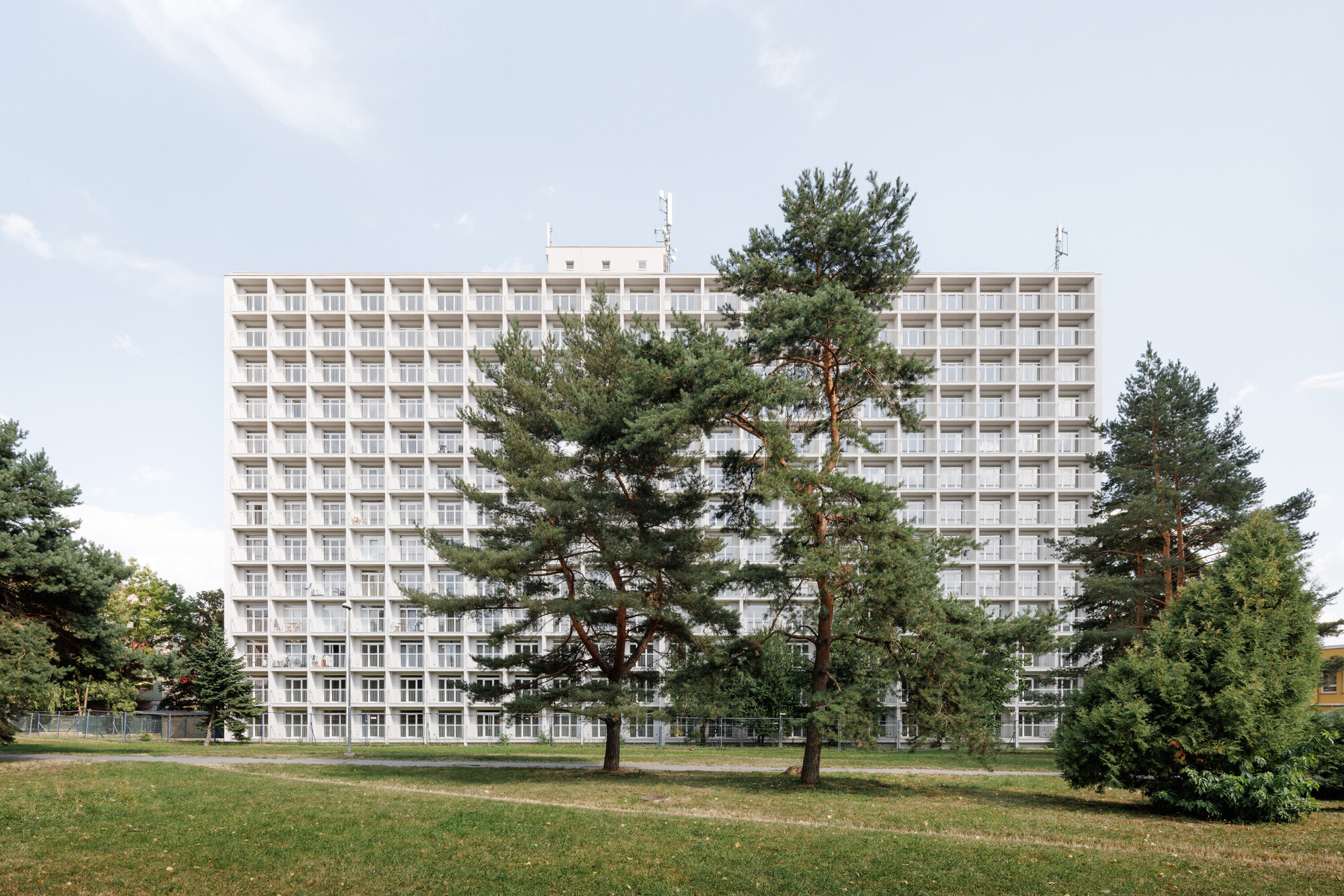 Gridded white slab facade with recessed balconies seen through tall pine trees on a lawn under a pale sky