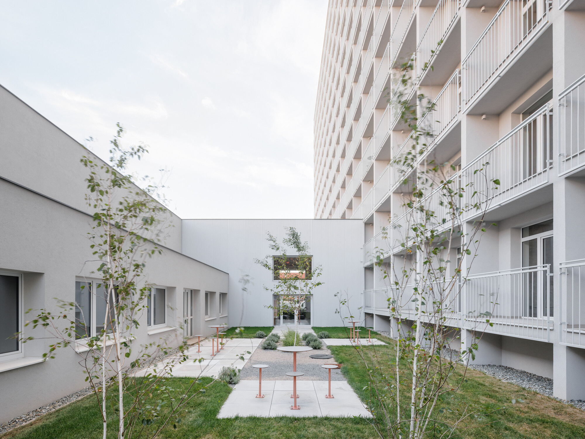 Courtyard between a low corrugated wing and the balcony facade, with young birch trees and pink round tables on paving