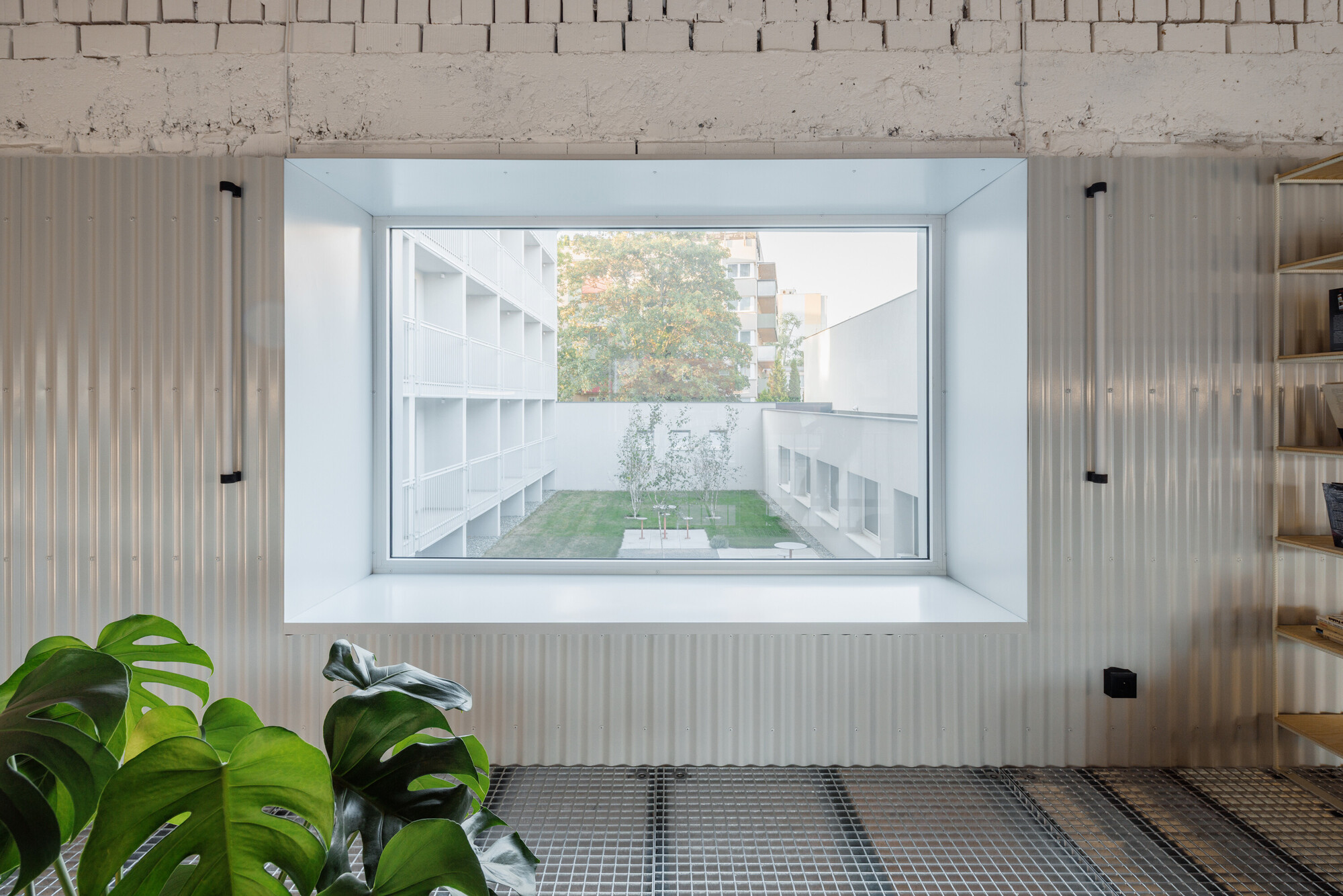 Deep white window recess in a corrugated metal wall, framing a courtyard lawn and balconied block, monstera leaves in front