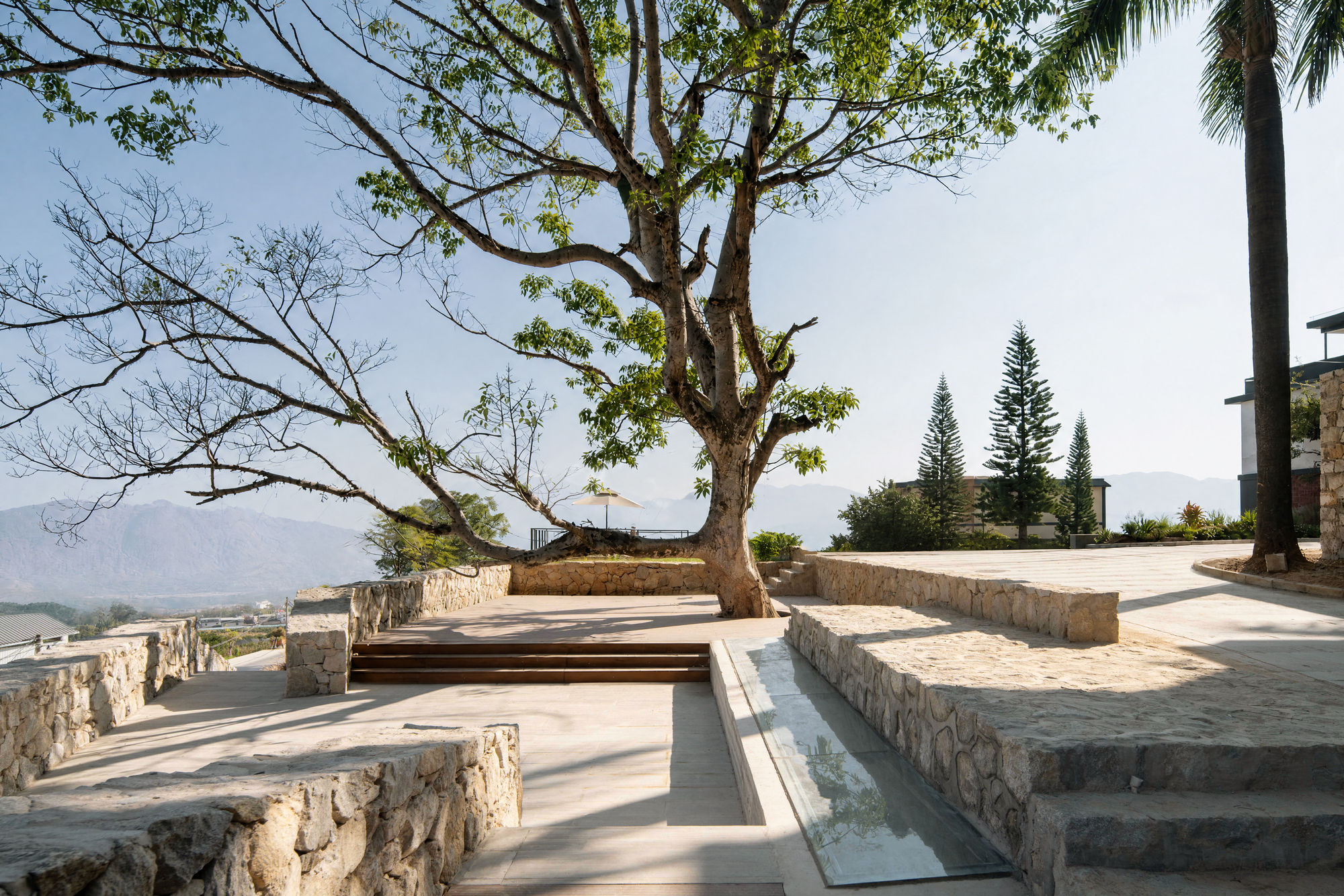 Terrace with a large spreading tree, stone benches, a shallow water channel and timber steps under a clear sky