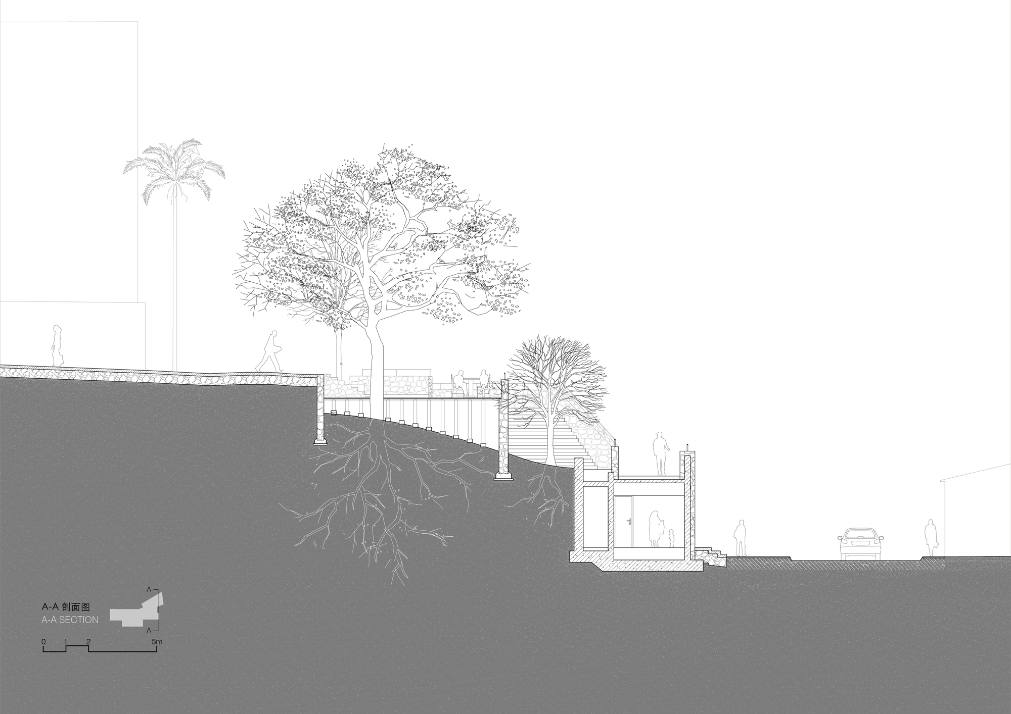 Section A-A drawing cutting through a slope, showing a small buried pavilion beside a large tree with exposed roots and a passing car