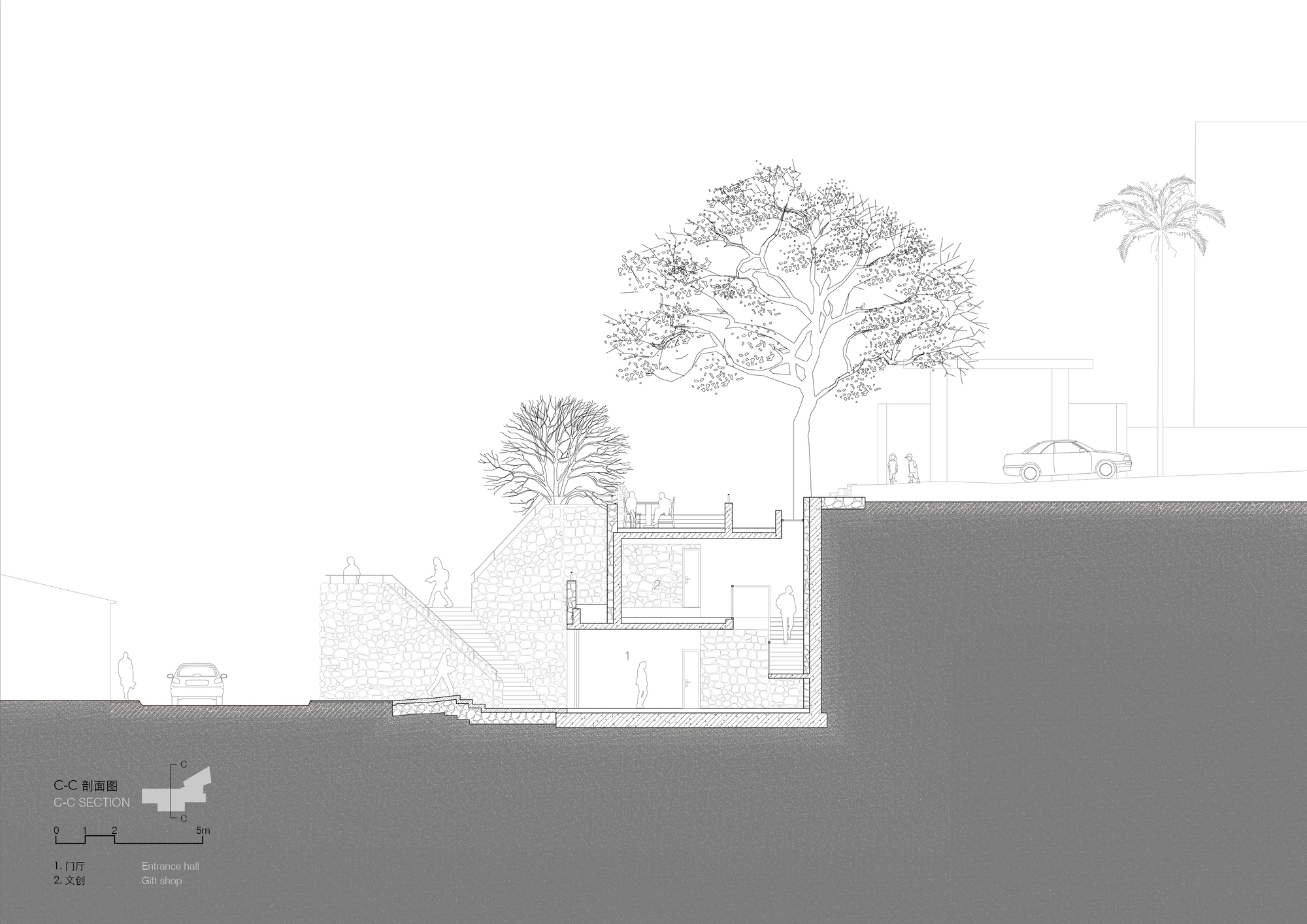 Section C-C drawing of the entrance hall and gift shop stacked below a rooftop terrace, with a large canopy tree and a parked car
