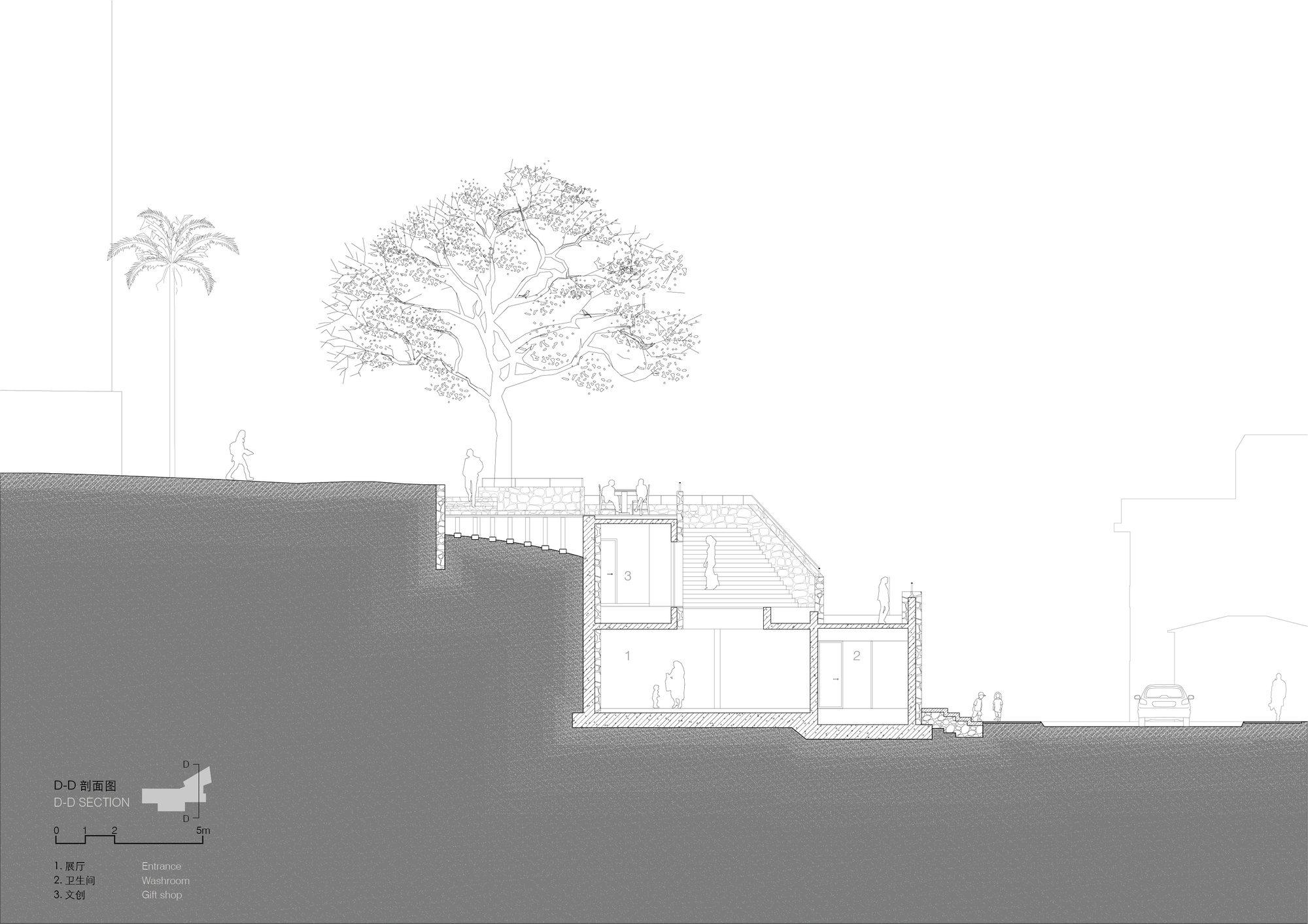 Section D-D drawing showing entrance hall, washroom and gift shop volumes beneath a stepped stone stair and a spreading tree