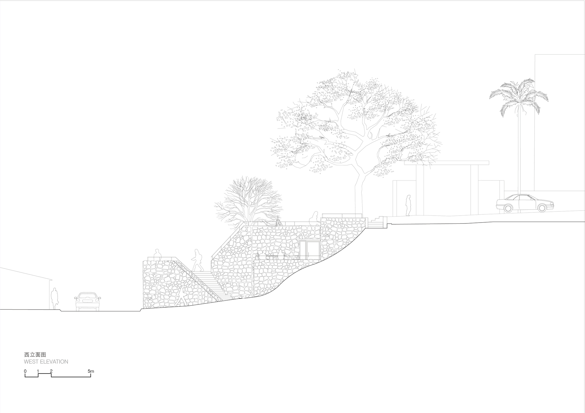 West elevation drawing of a stone-clad stepped structure on a sloping street, with a large tree, a palm and parked cars beside it