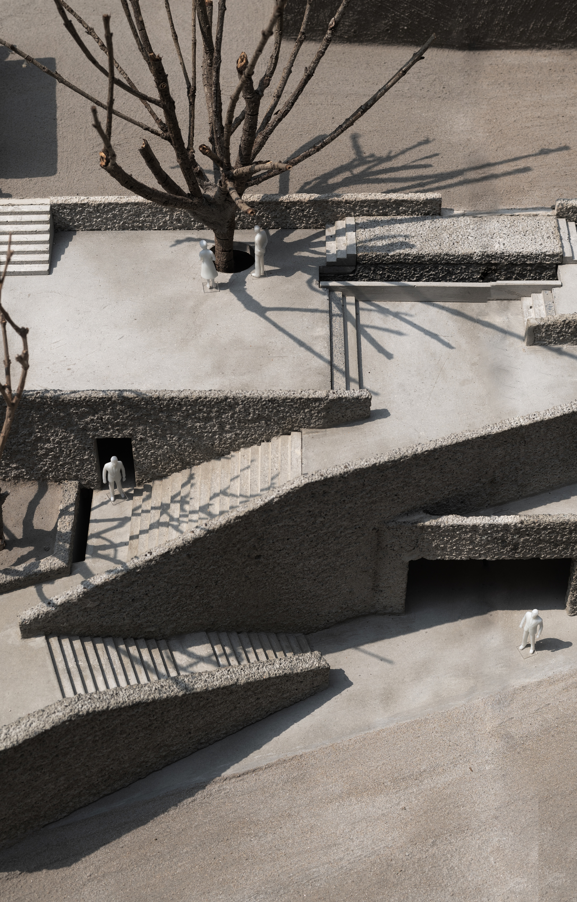 Top-down view of the model's terraced stairs and rough concrete walls, with a bare tree casting long shadows on small figures