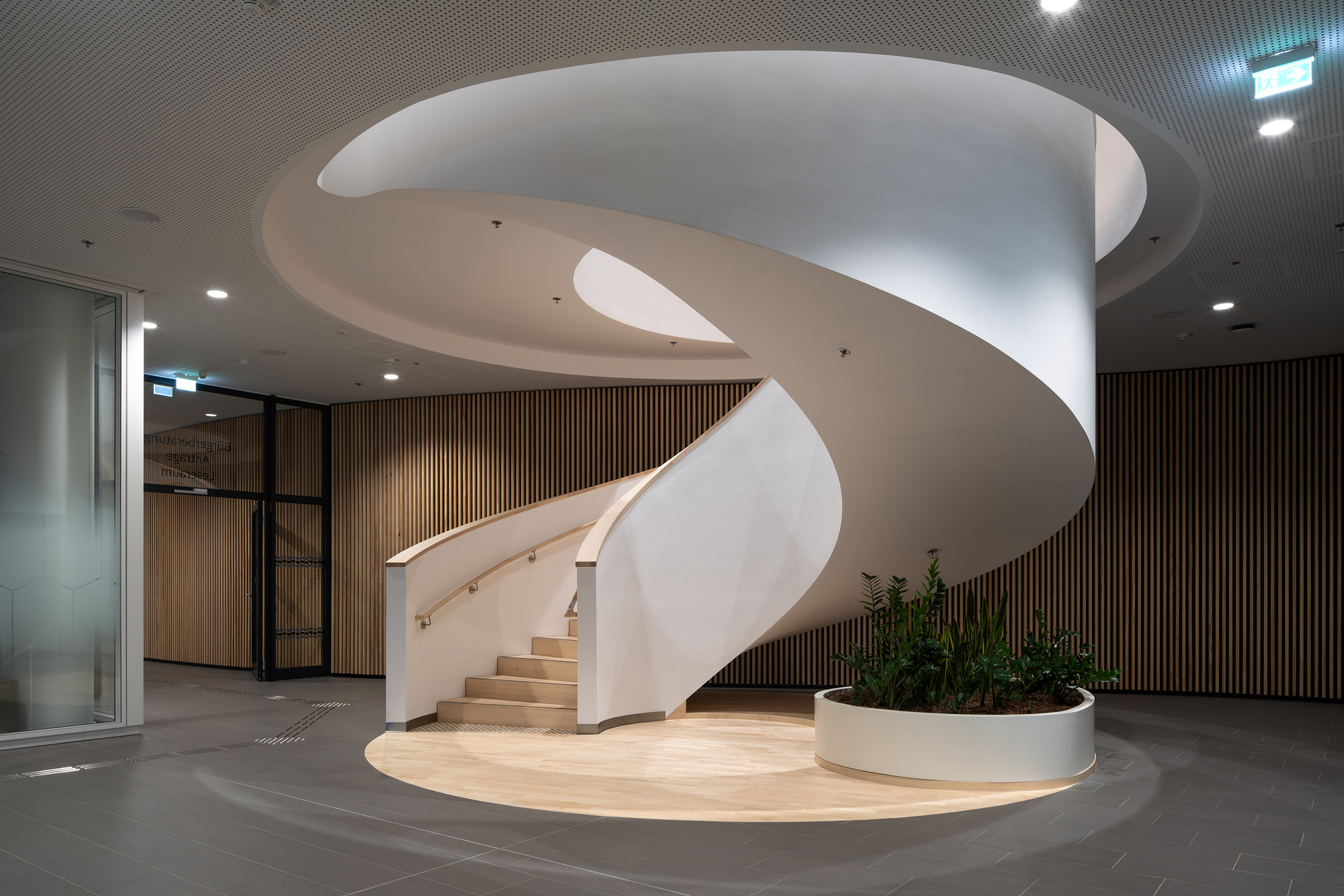 Sculptural white spiral staircase above a round timber floor inset, with a circular planter and slatted wood wall behind