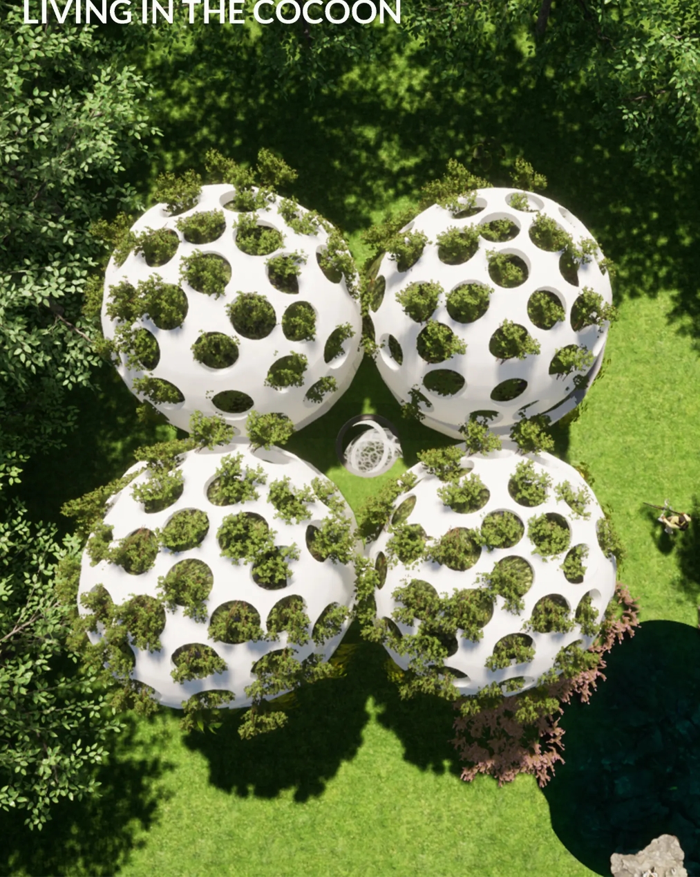 Top-down view of four white perforated spheres with shrubs growing from the openings, set on a lawn in dappled tree shadow. Image: Julia Janiszewska