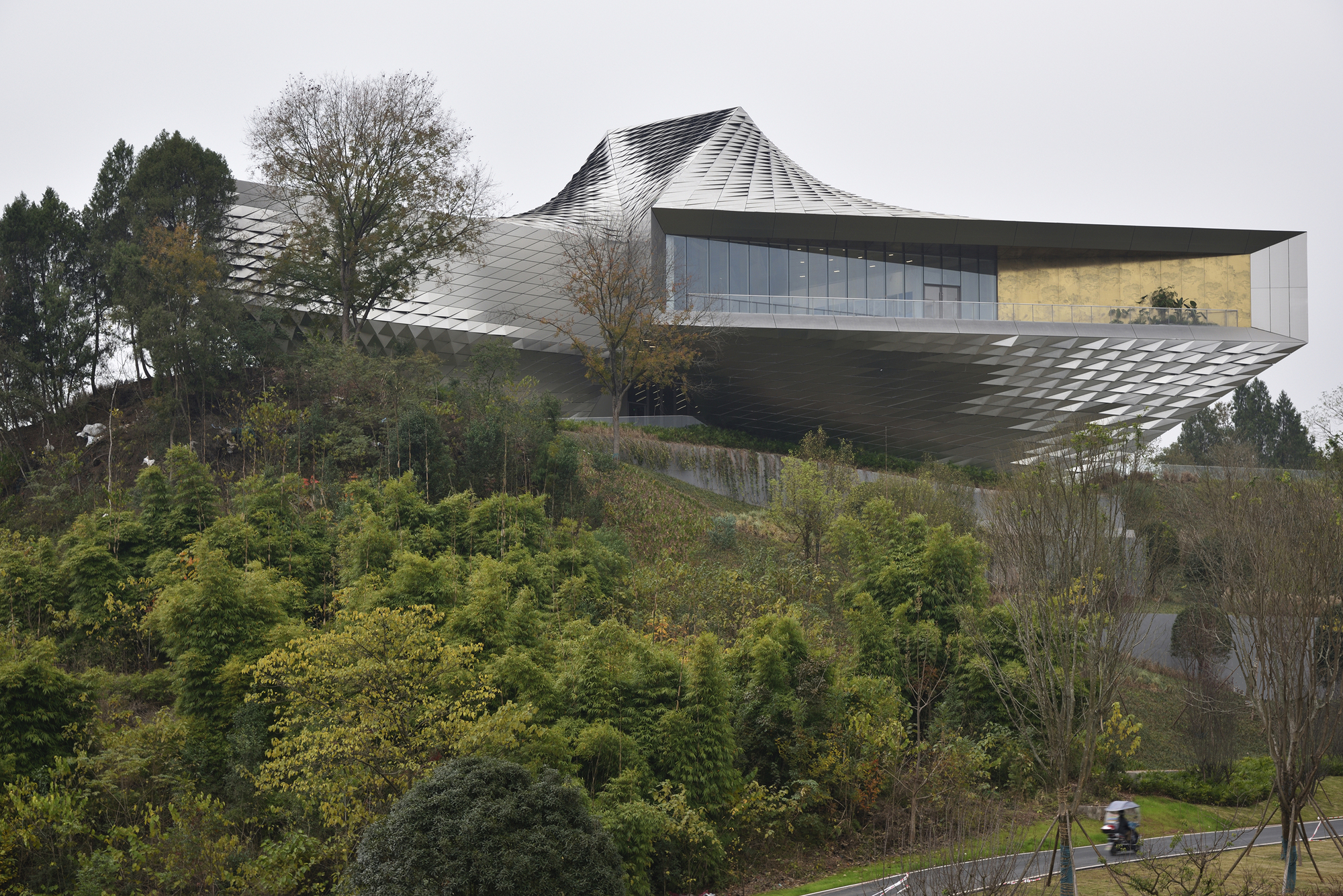 Overhanging glazed volume with a pleated metal roof peak, seen over a green hillside under grey winter light