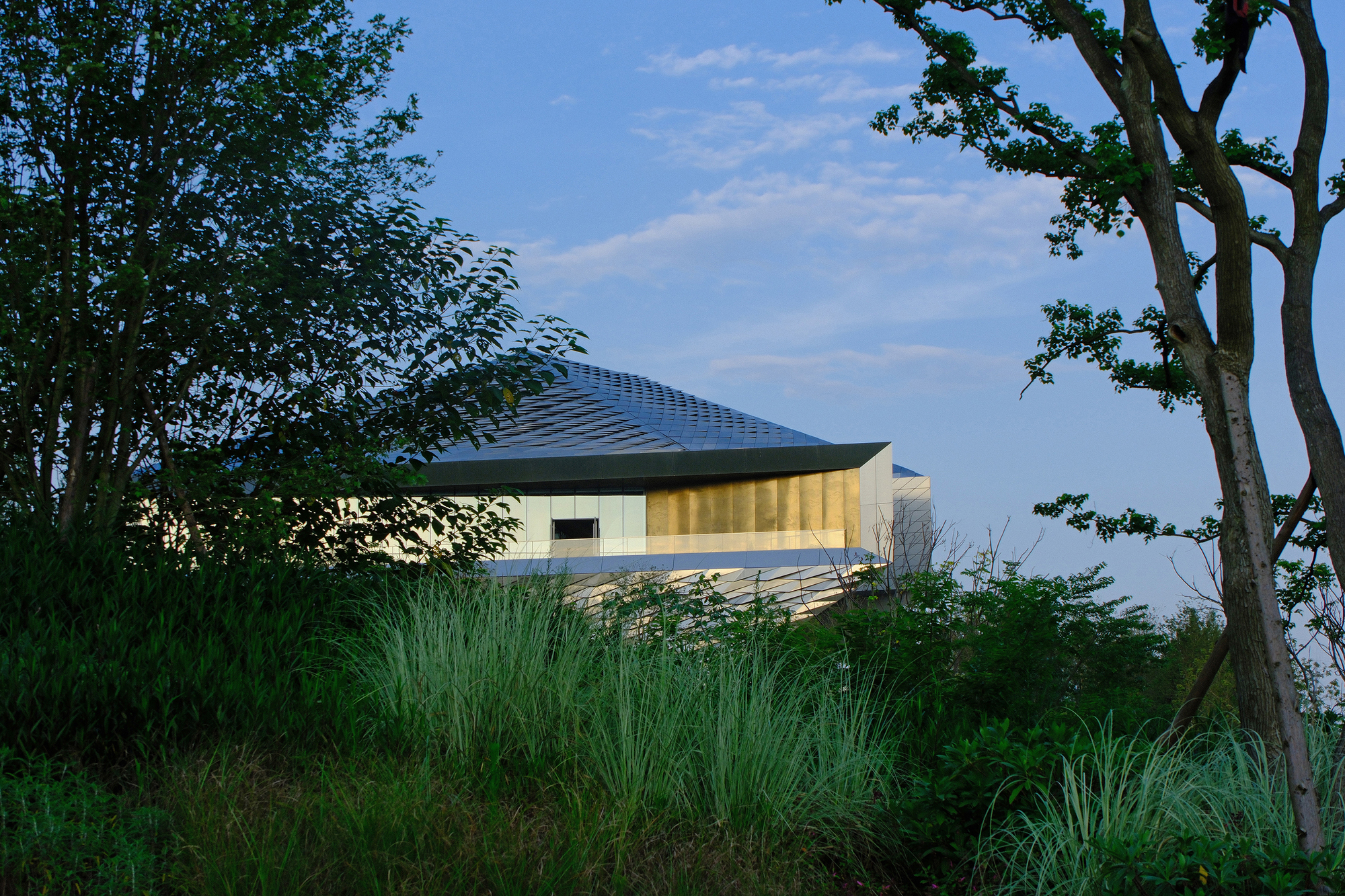 Gold-clad band and scaled metal roof glimpsed through tall grasses and tree branches in blue evening light