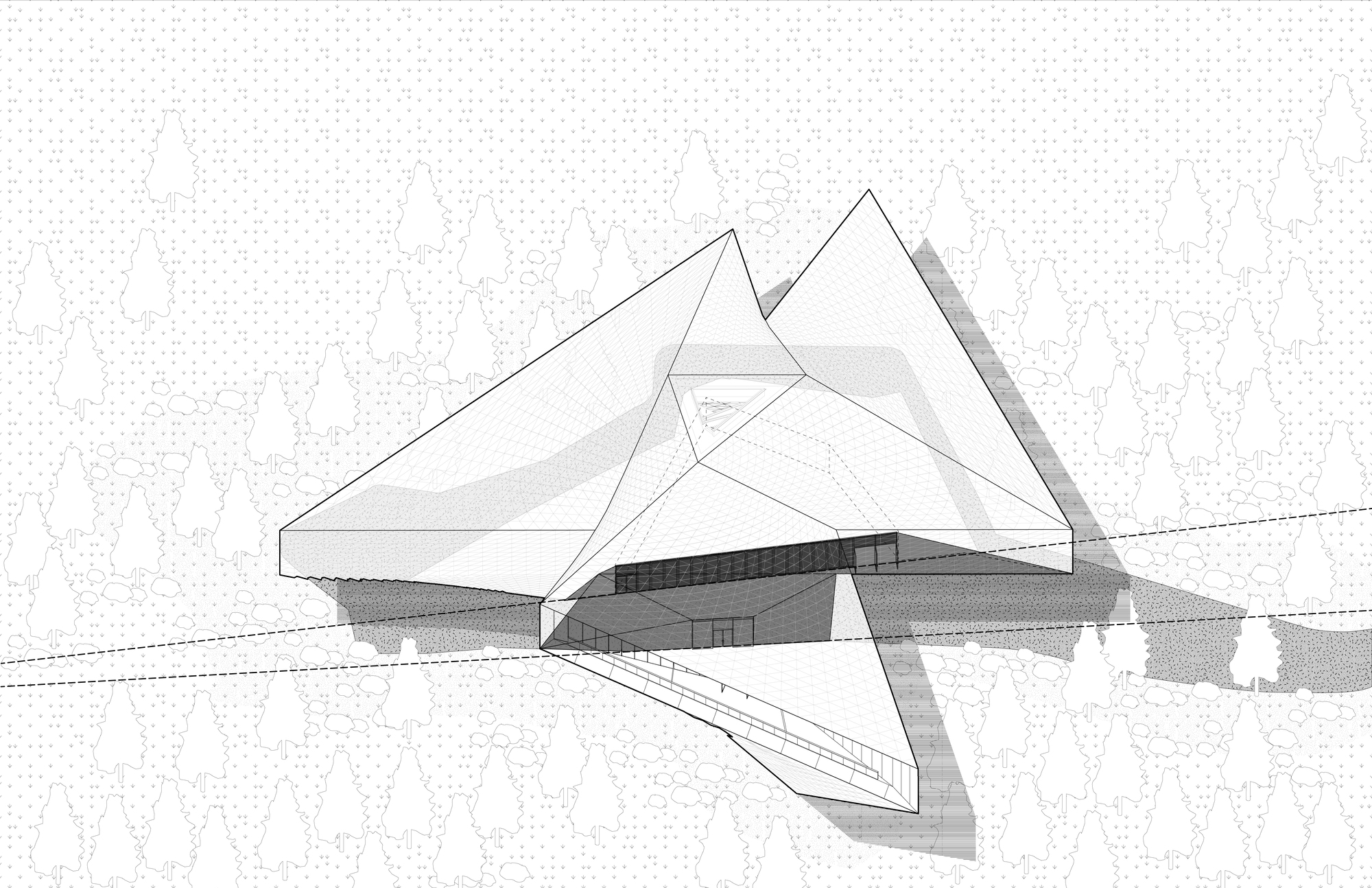 Axonometric drawing with the roof planes rendered transparent, revealing a glazed ground-floor facade and a long ramp, with dashed sight lines crossing the tree