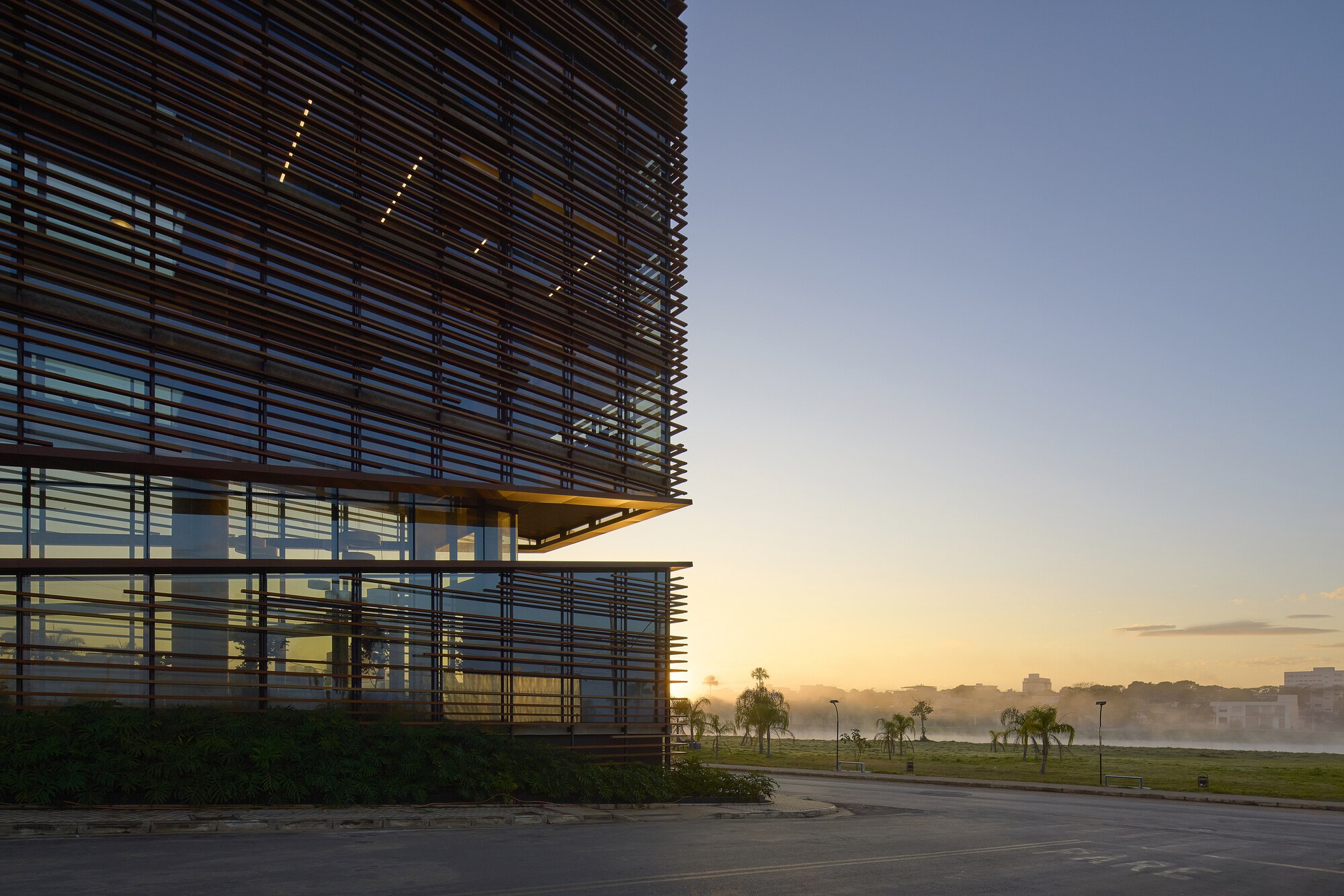 Louvered timber facade corner at dawn, with palms, a street and low mist over grass in the background