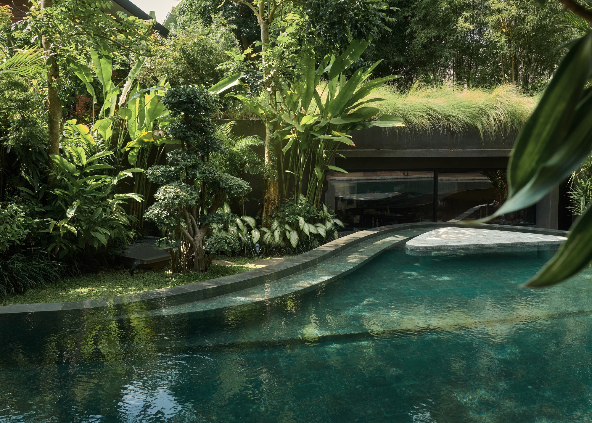 Curving pool edge beside a dense planting of palms and bird-of-paradise, with a grass-topped roof behind in dappled sun