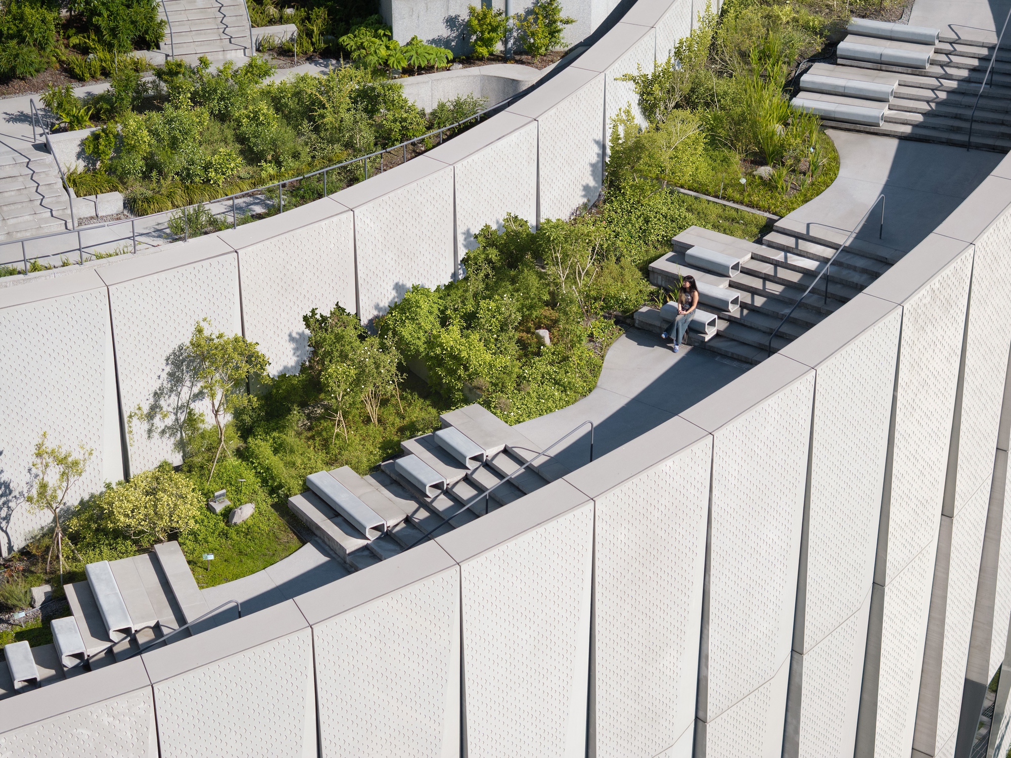 Aerial view of curving perforated concrete walls enclosing terraced planting beds and stone steps, with a seated visitor in bright sun