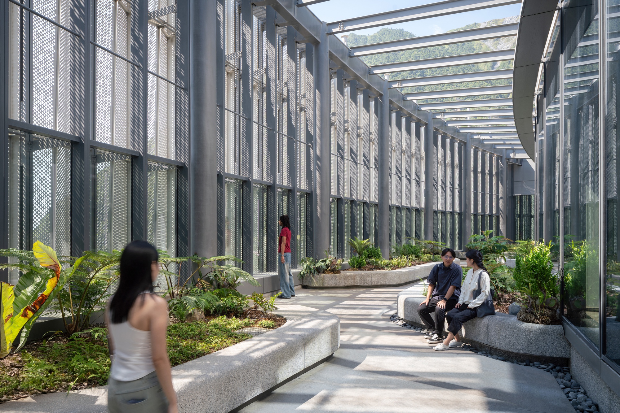 Covered garden walkway with granite benches, ferns and a steel pergola, where visitors sit and talk beneath a mountain backdrop
