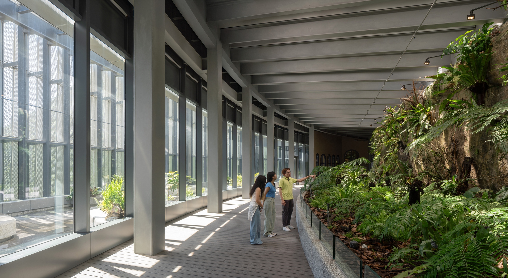 Timber-floored corridor beside a fern-covered rock wall, where three visitors point at the planting in dappled afternoon light