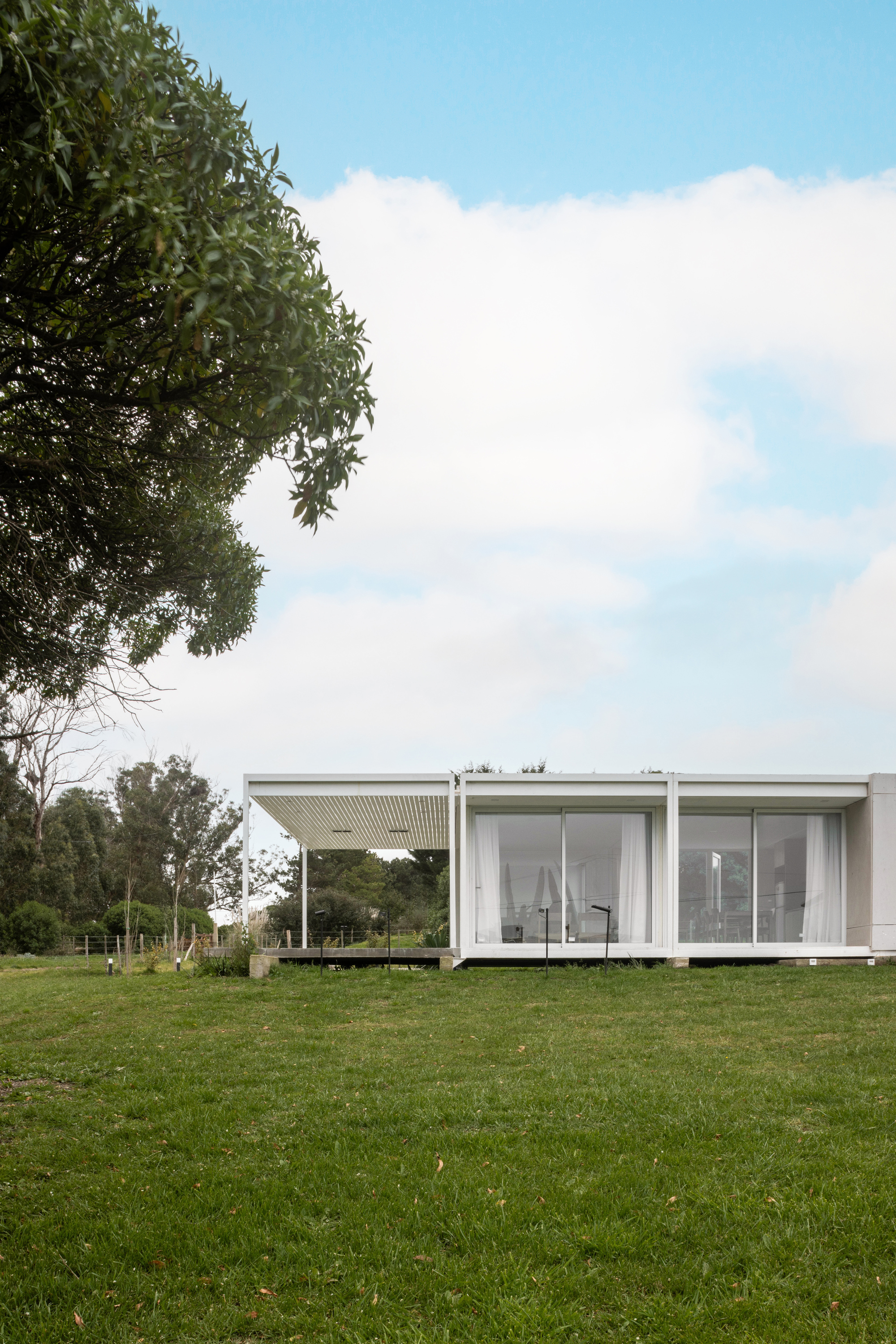 Single-storey white box house with a slatted canopy and glazed living wall, seen across a lawn beneath a large tree
