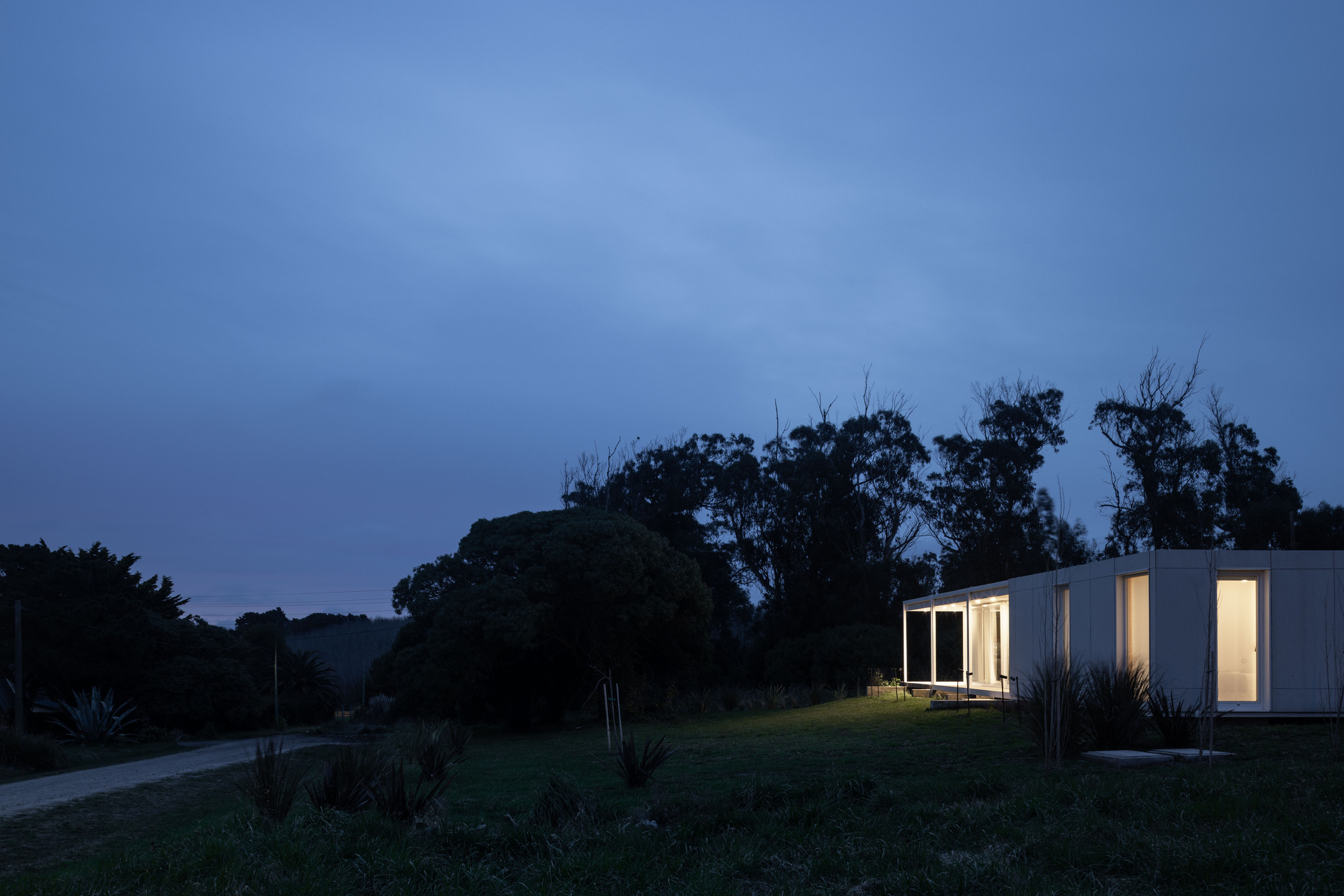 Low white volume with glowing glazed openings at dusk, set in a grassy field beside dark eucalyptus trees